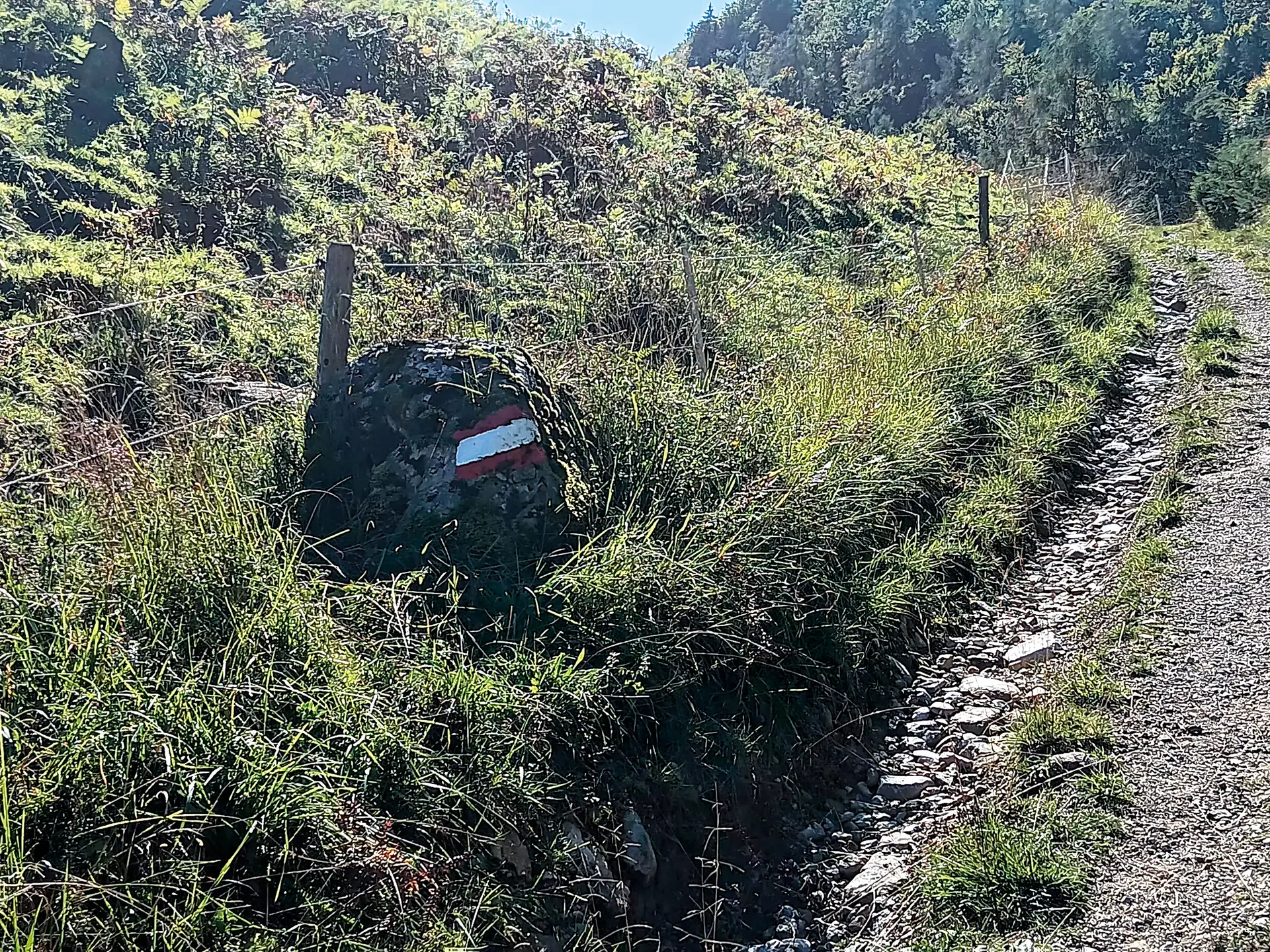 © DAV Sektion Rosenheim