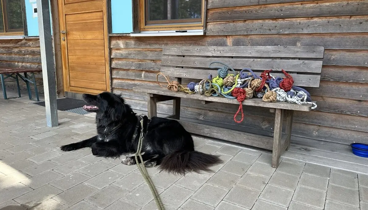 © DAV Sektion Rosenheim