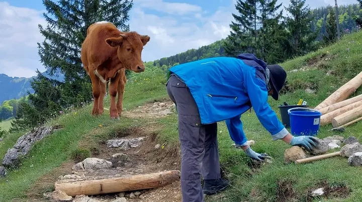 © DAV Sektion Rosenheim