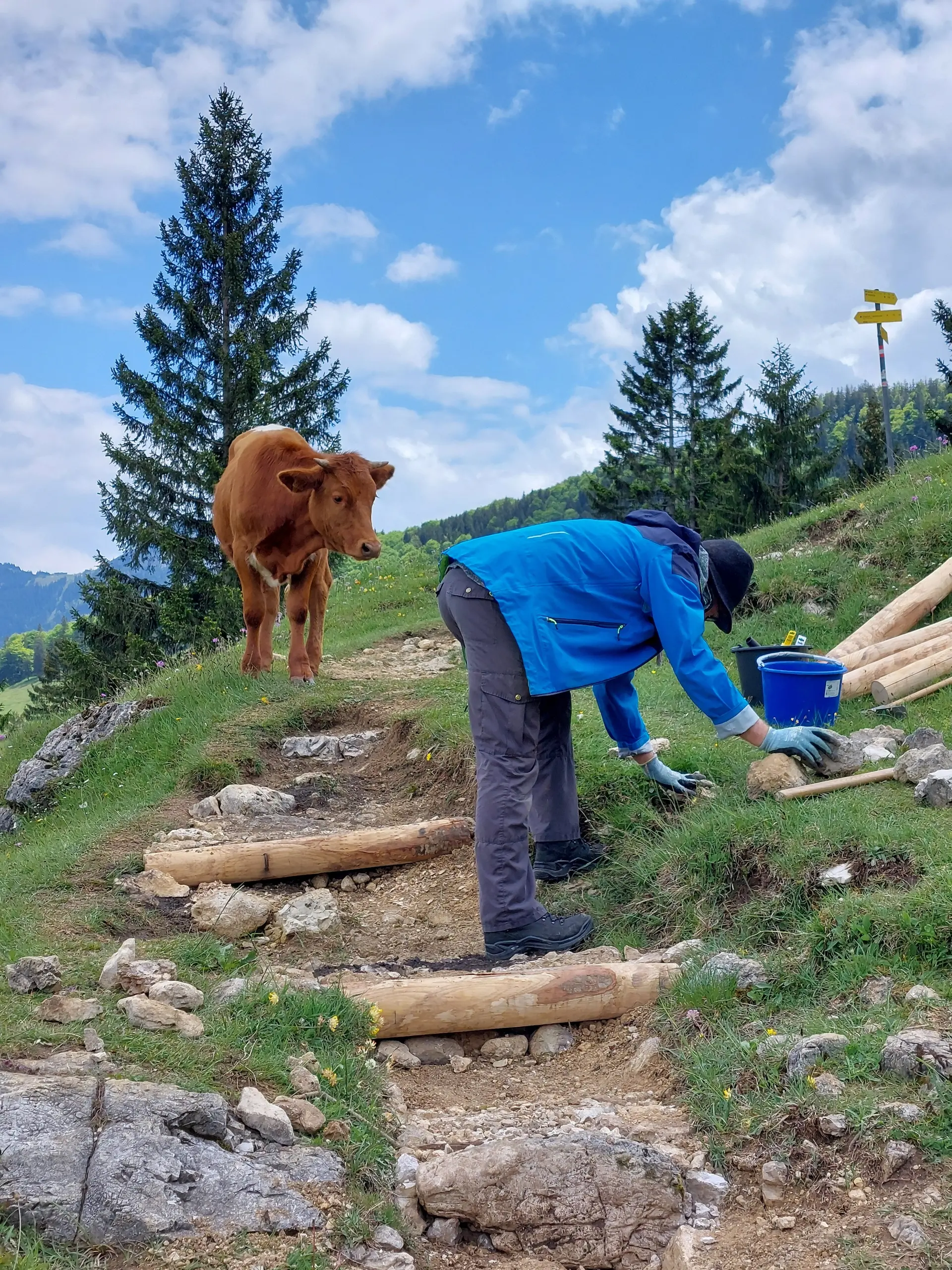 © DAV Sektion Rosenheim