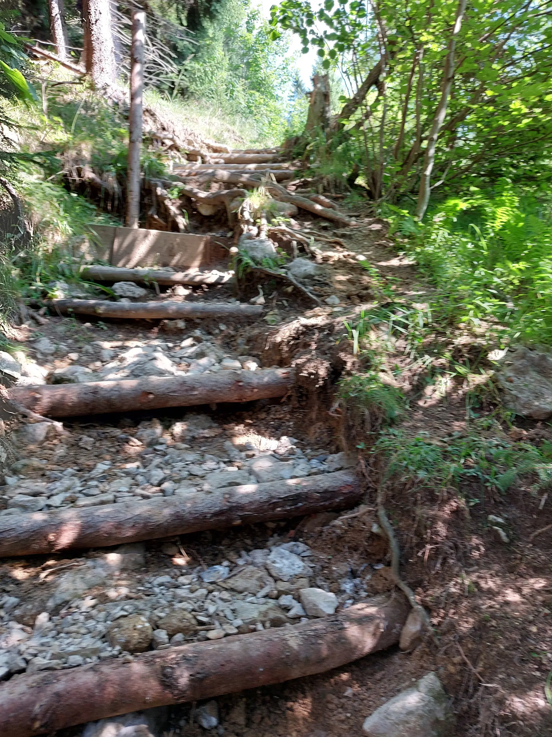 © DAV Sektion Rosenheim