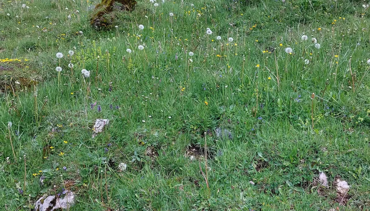 © DAV Sektion Rosenheim