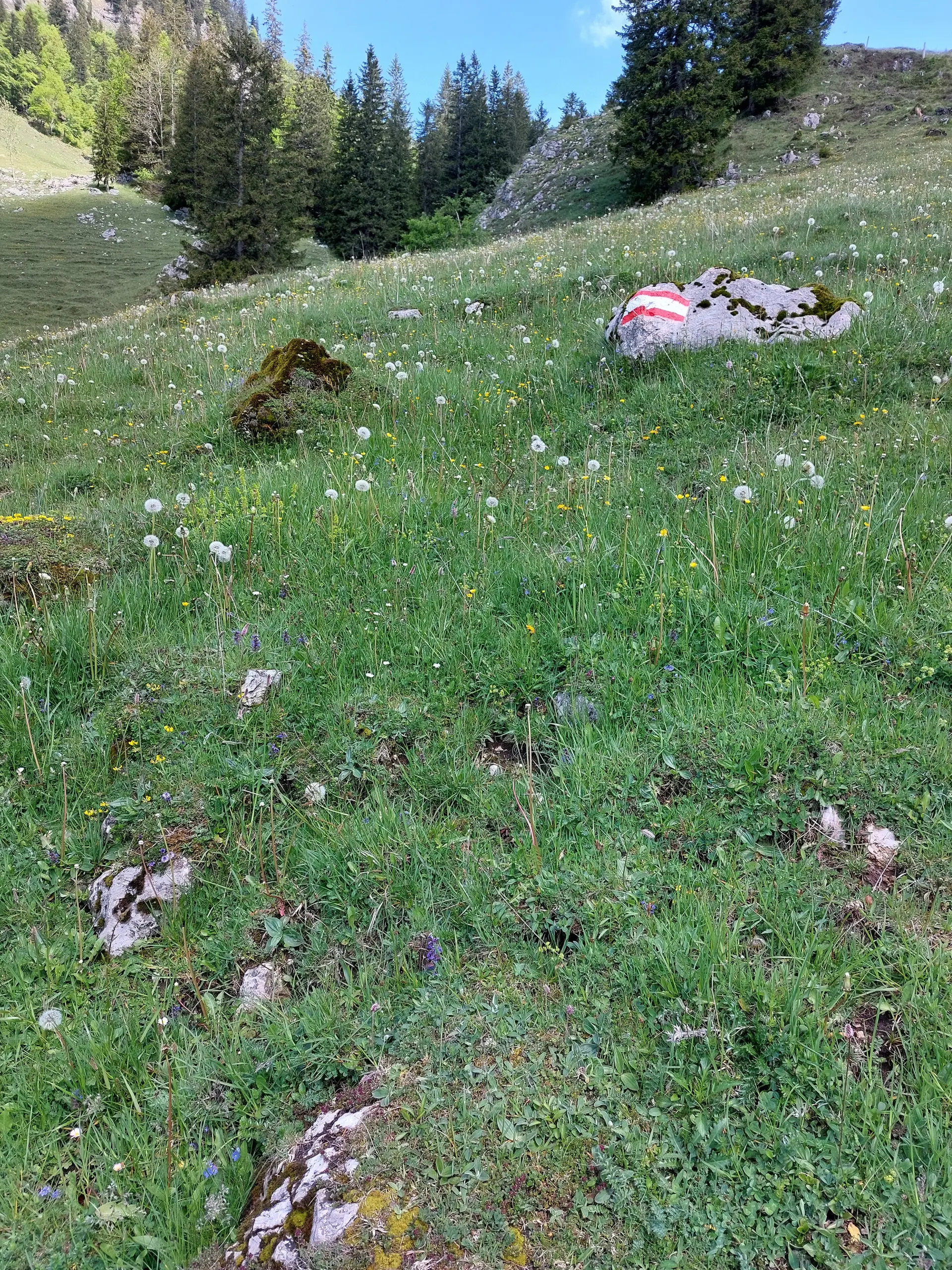 © DAV Sektion Rosenheim