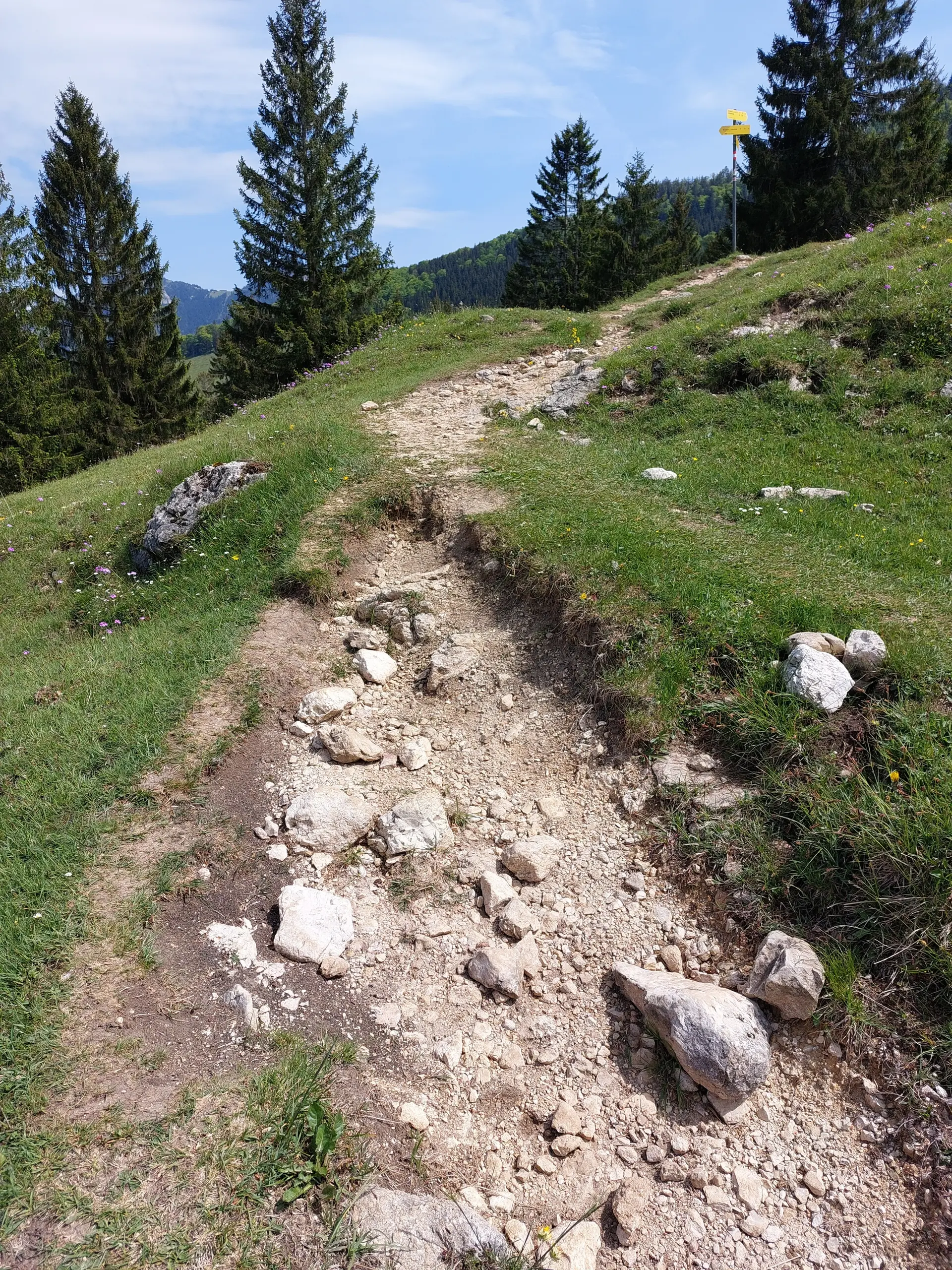 © DAV Sektion Rosenheim