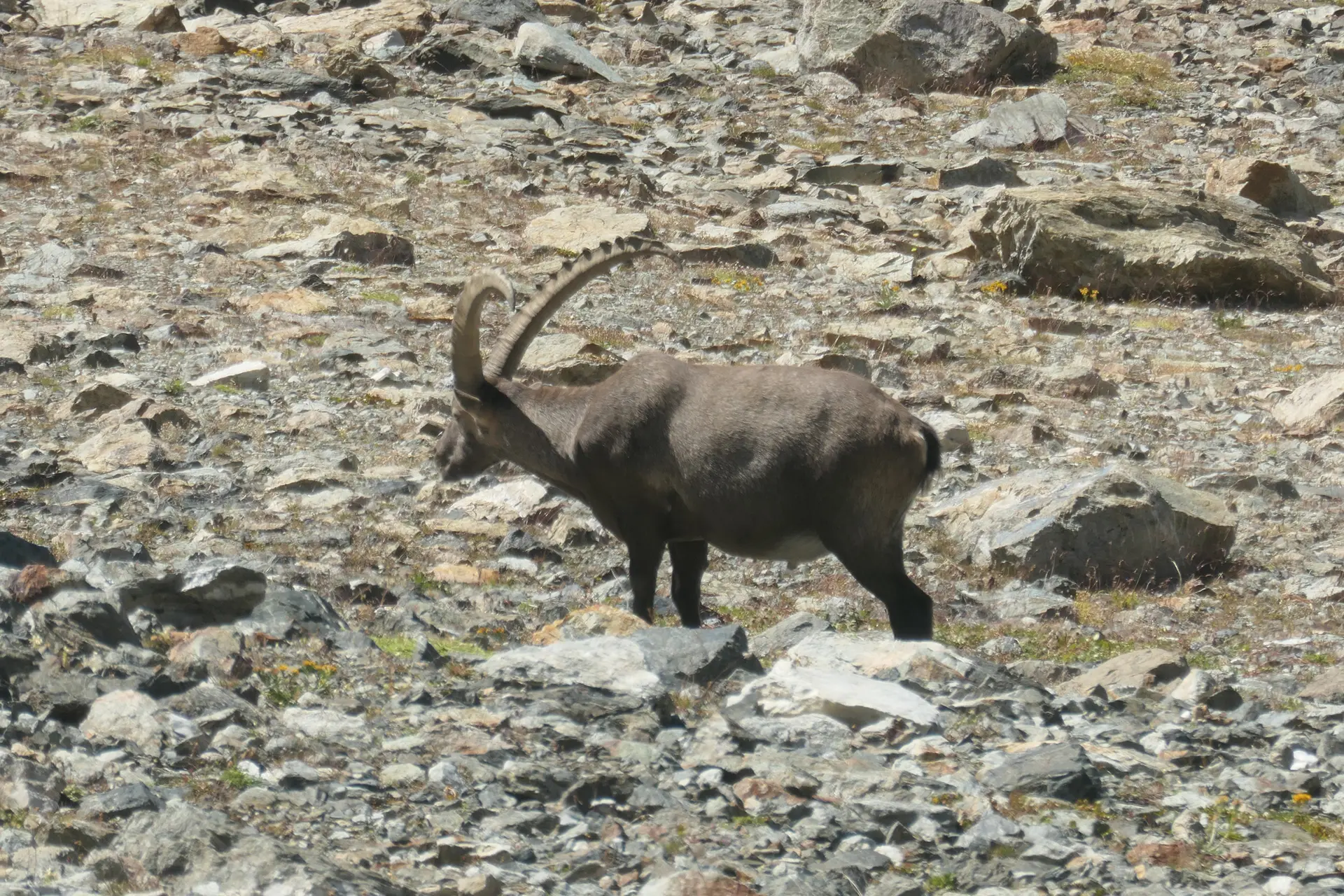 © DAV Sektion Rosenheim