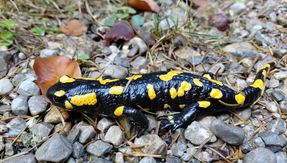 © DAV Sektion Rosenheim