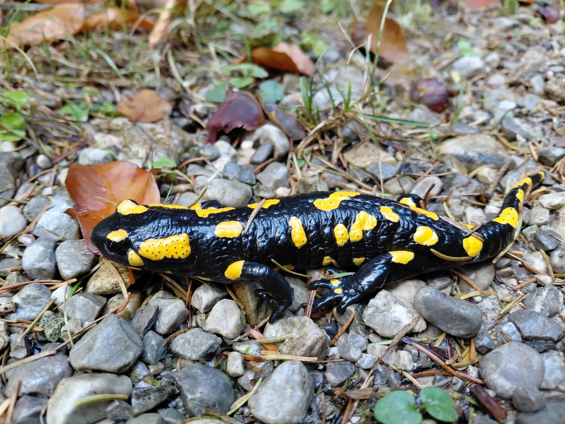 © DAV Sektion Rosenheim