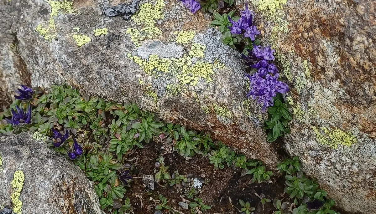 © DAV Sektion Rosenheim