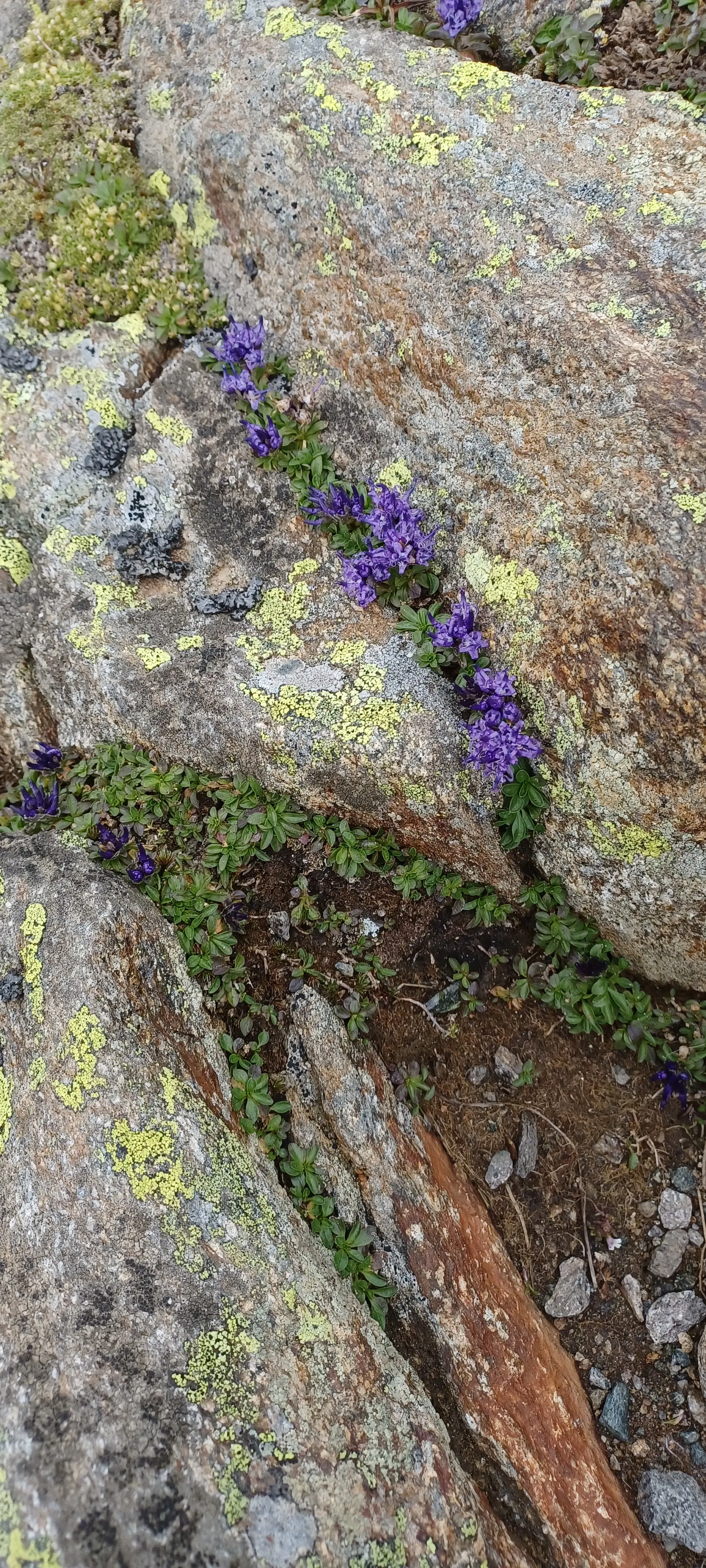 © DAV Sektion Rosenheim