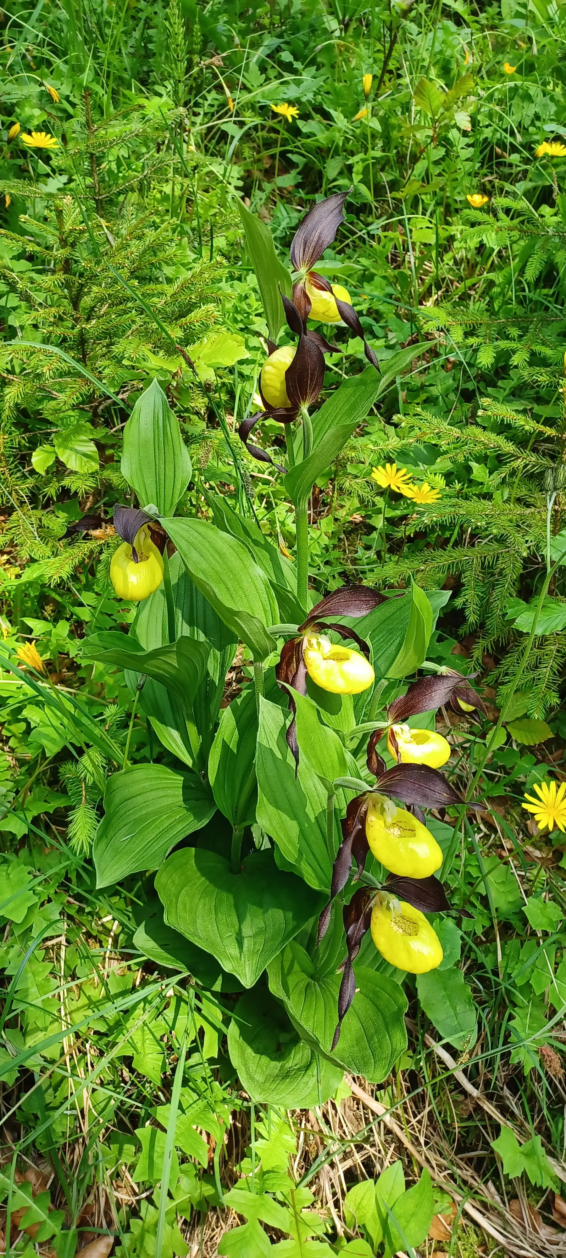 © DAV Sektion Rosenheim