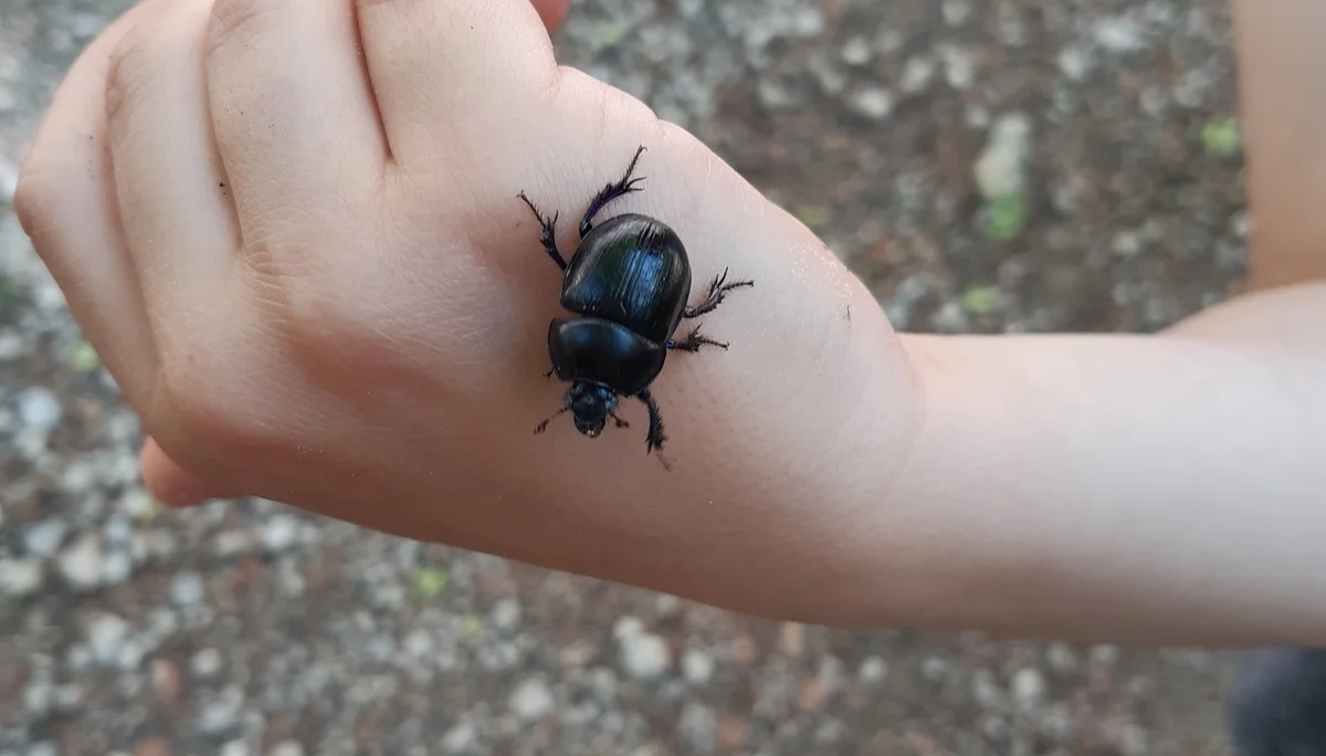 © DAV Sektion Rosenheim