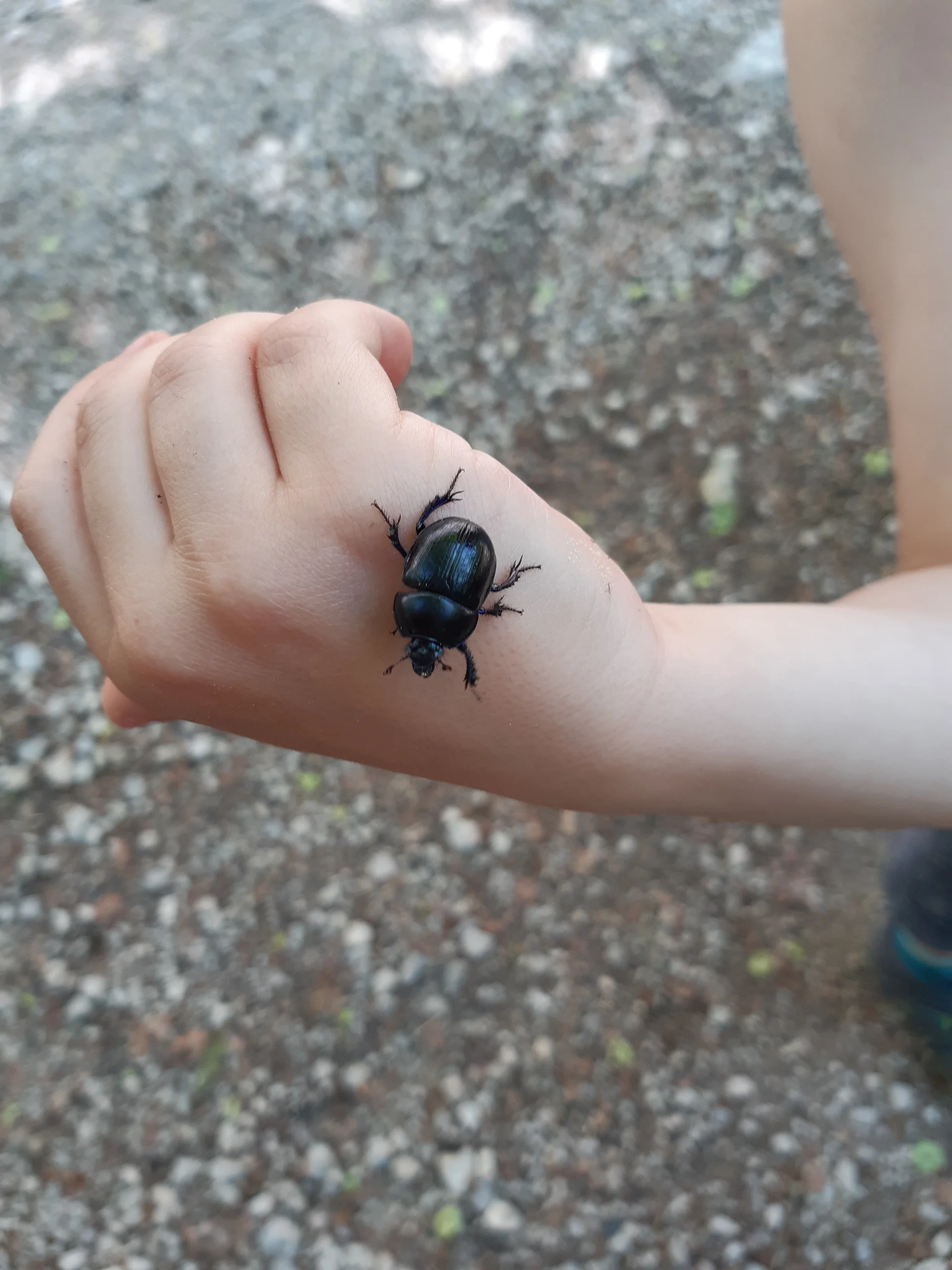 © DAV Sektion Rosenheim