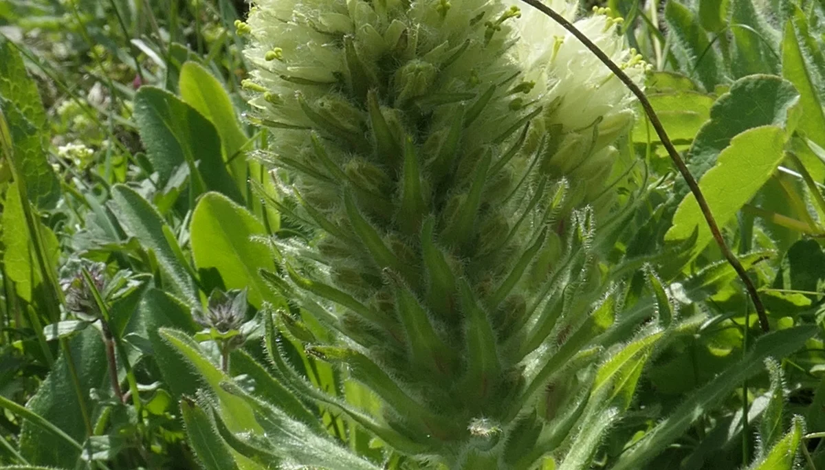 © DAV Sektion Rosenheim