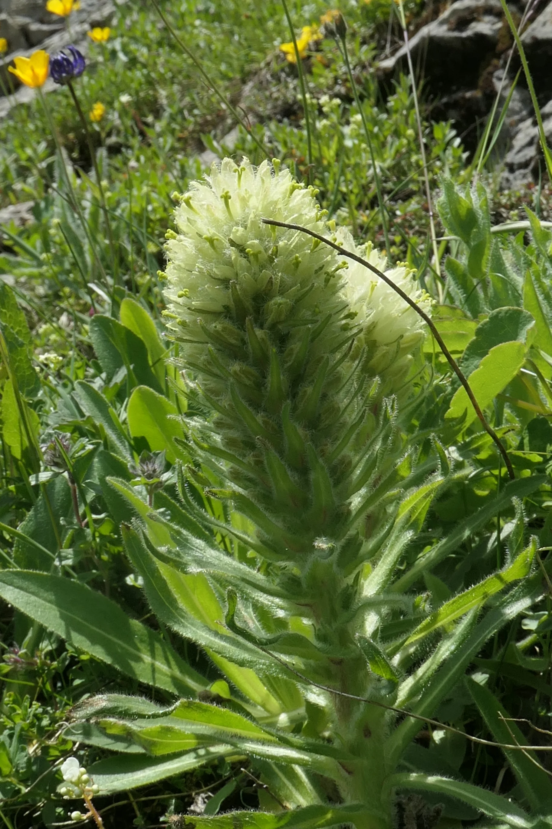 © DAV Sektion Rosenheim