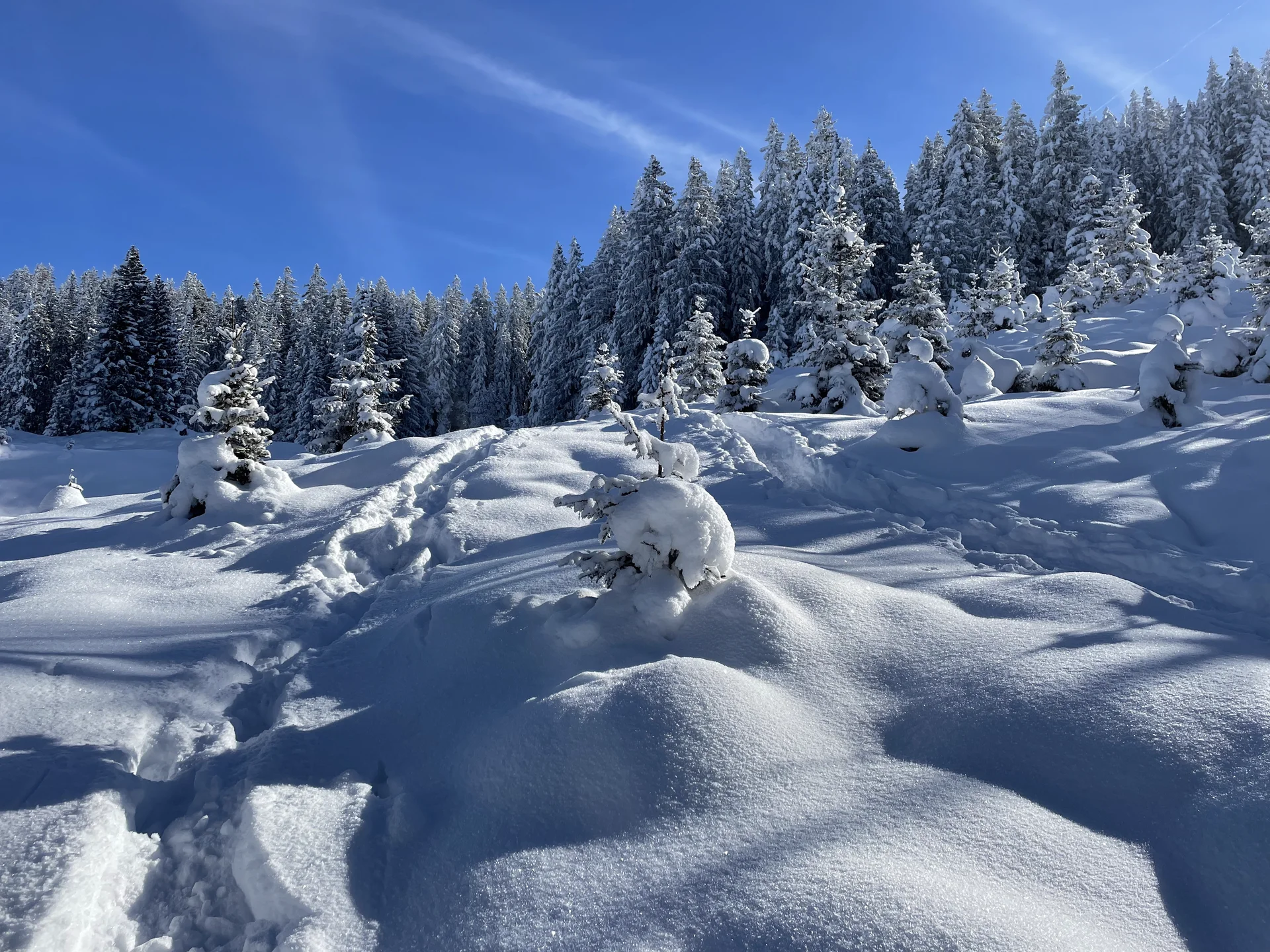 © DAV Sektion Rosenheim