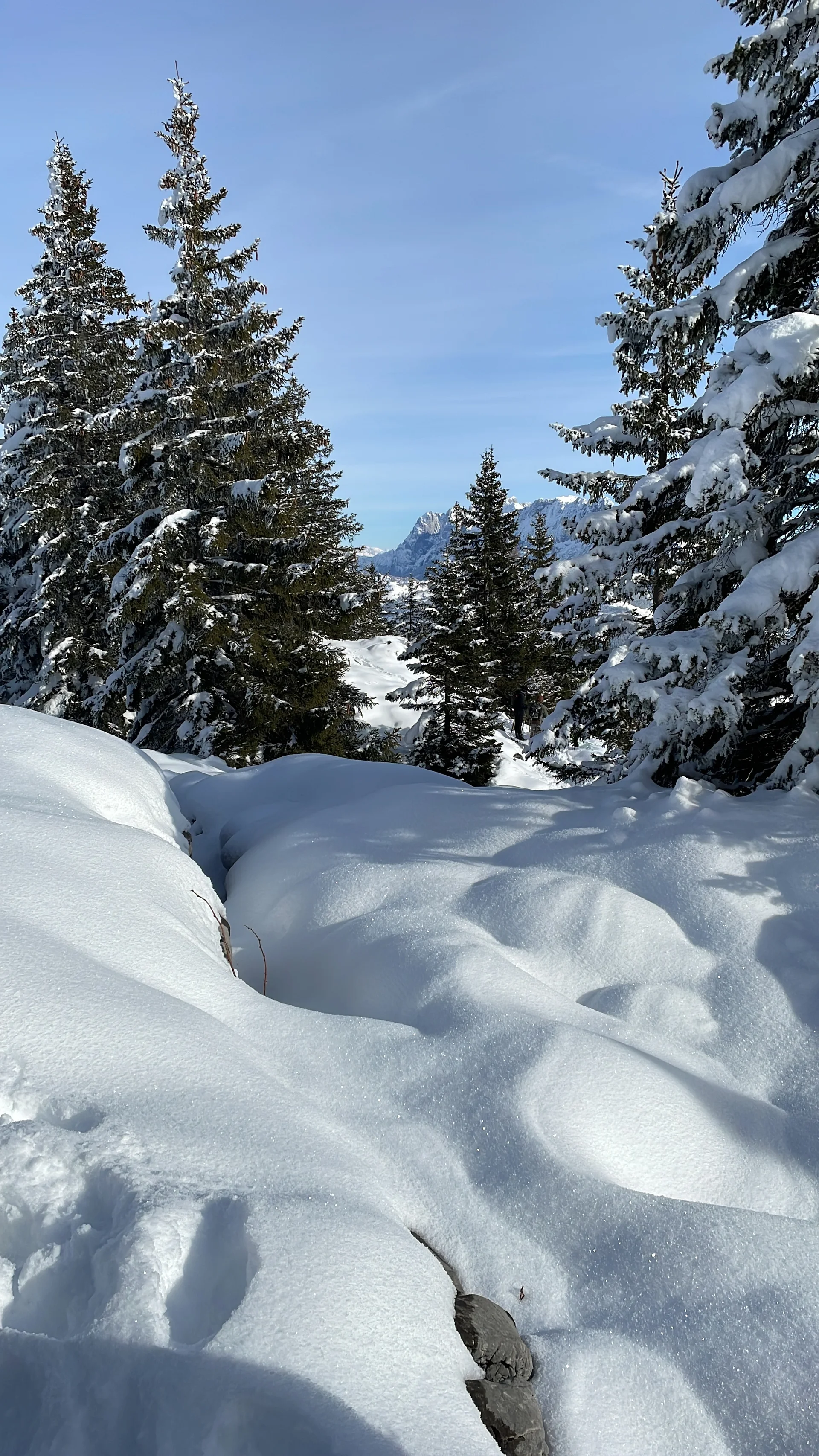 © DAV Sektion Rosenheim