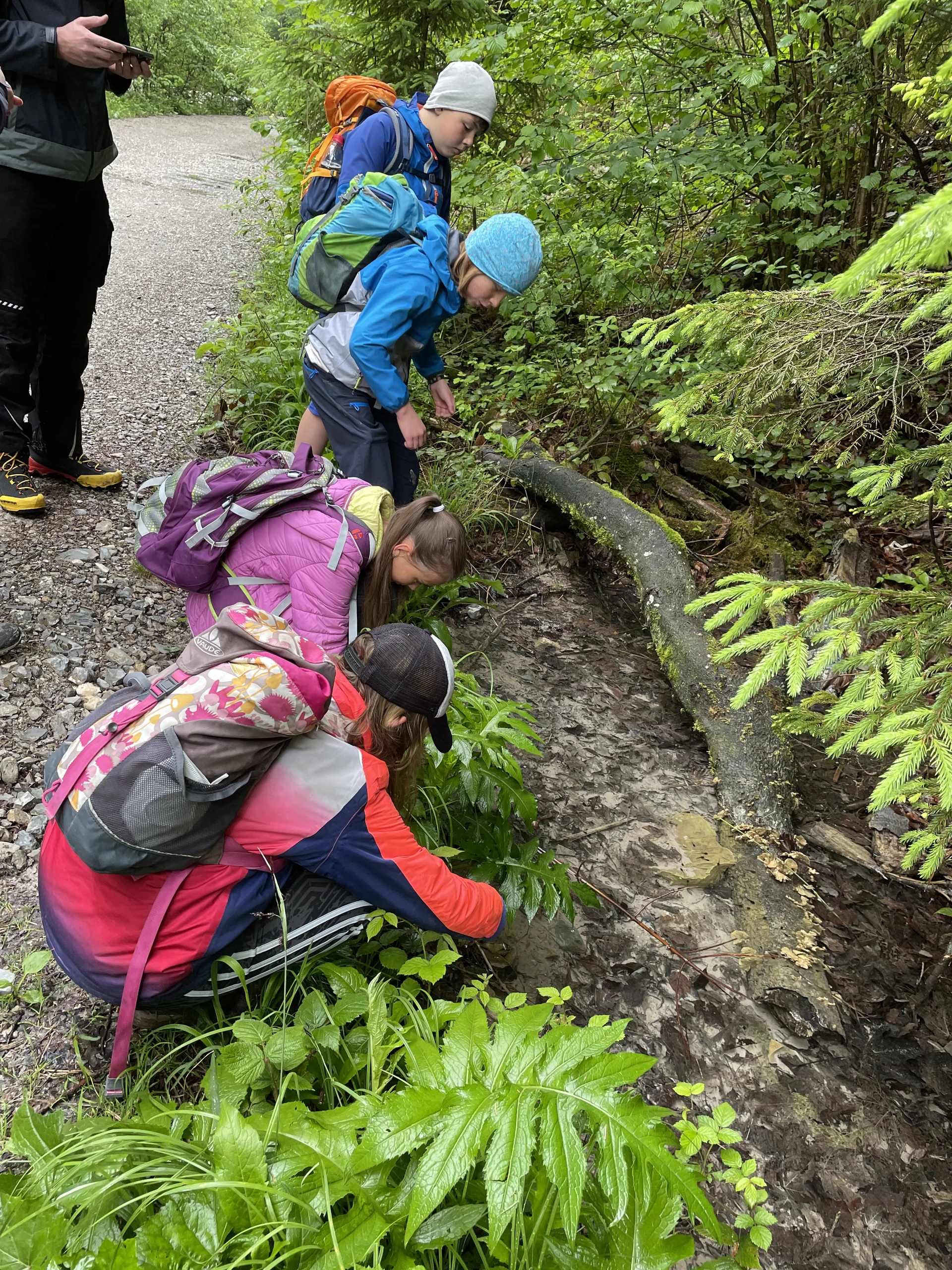 © DAV Sektion Rosenheim