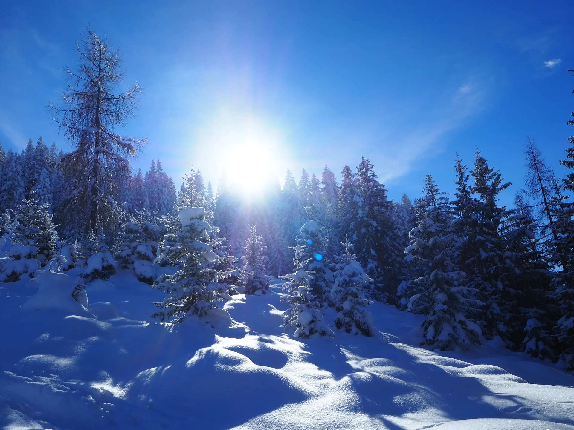 © DAV Sektion Rosenheim