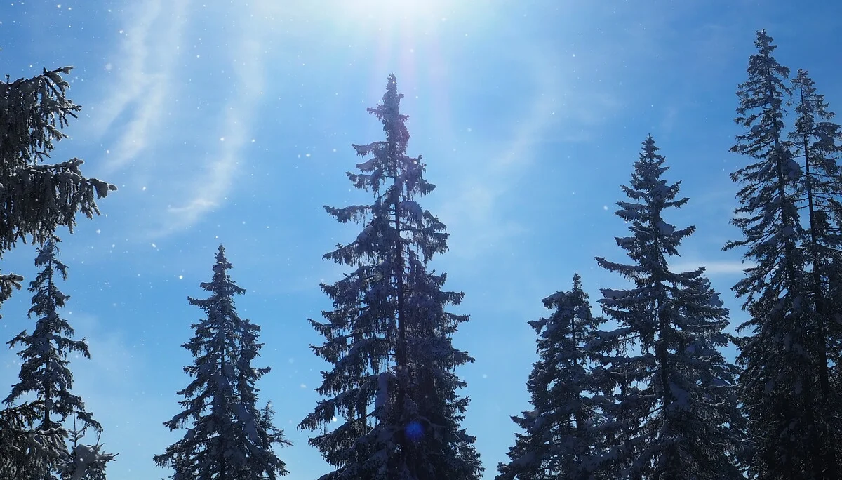 © DAV Sektion Rosenheim