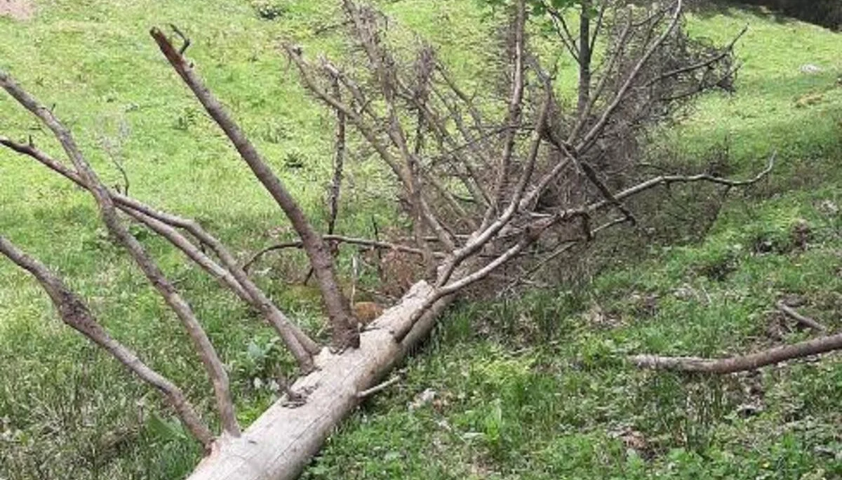 © DAV Sektion Rosenheim