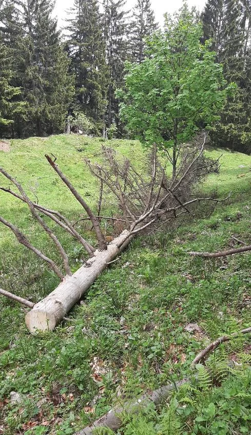 © DAV Sektion Rosenheim