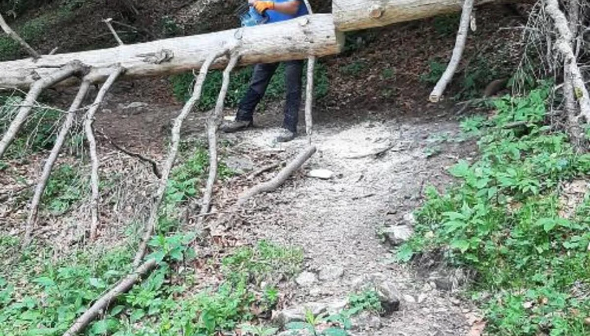 © DAV Sektion Rosenheim