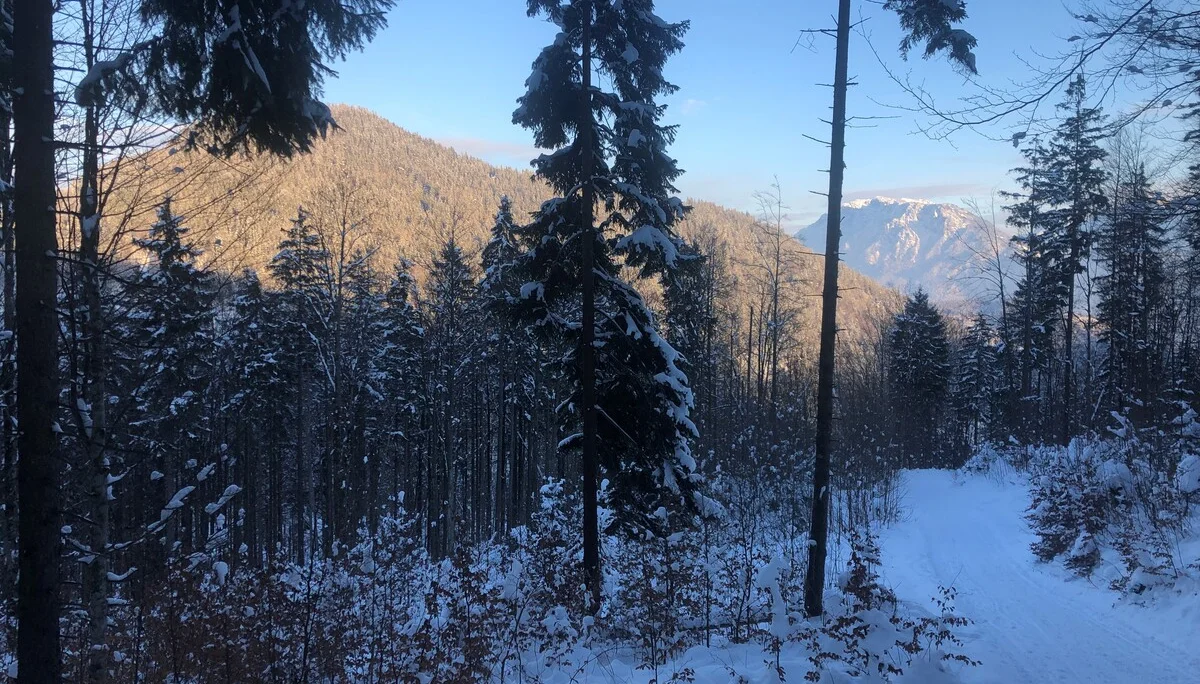 © DAV Sektion Rosenheim