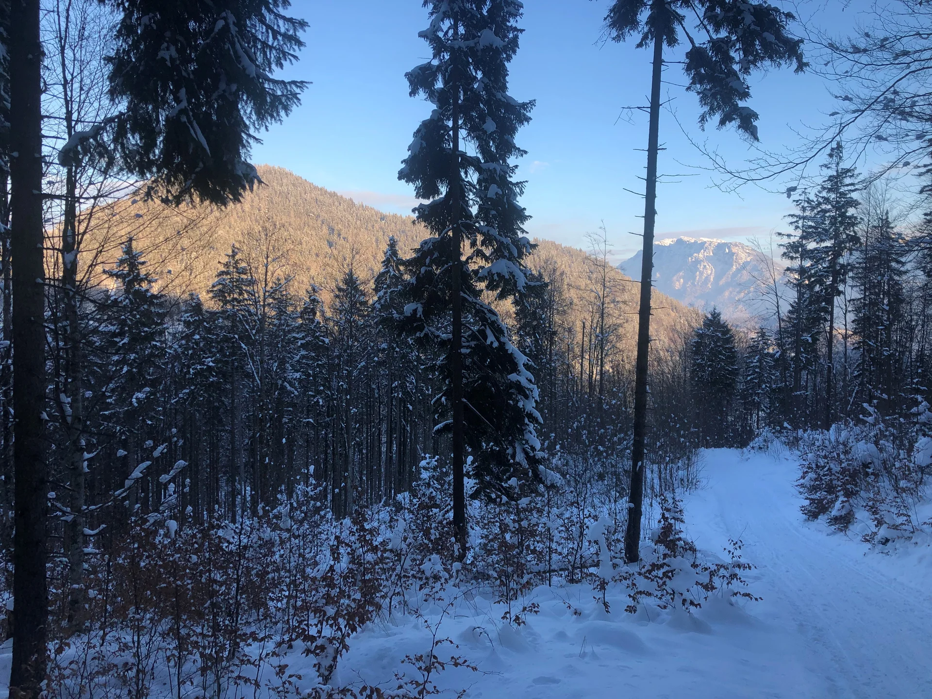 © DAV Sektion Rosenheim