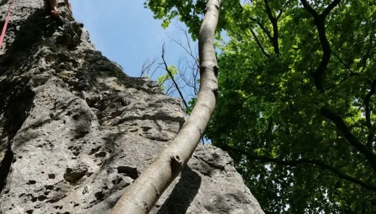 © DAV Sektion Rosenheim