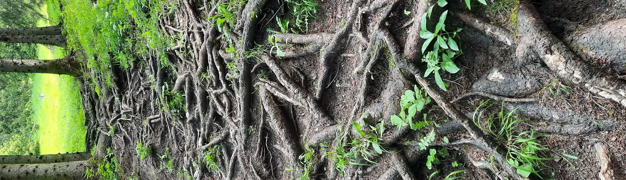 © DAV Sektion Rosenheim