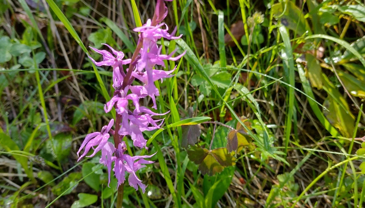 © DAV Sektion Rosenheim