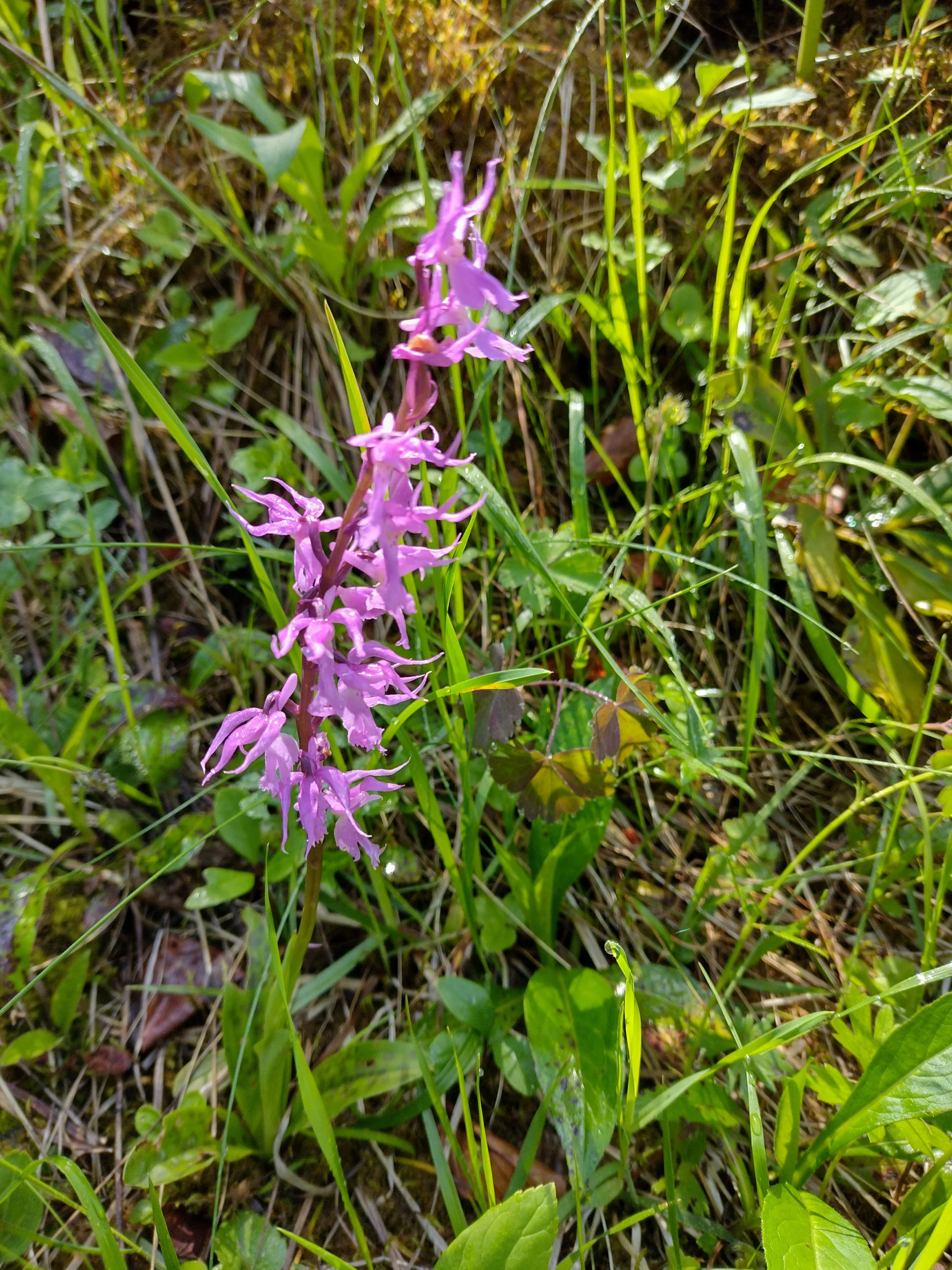 © DAV Sektion Rosenheim