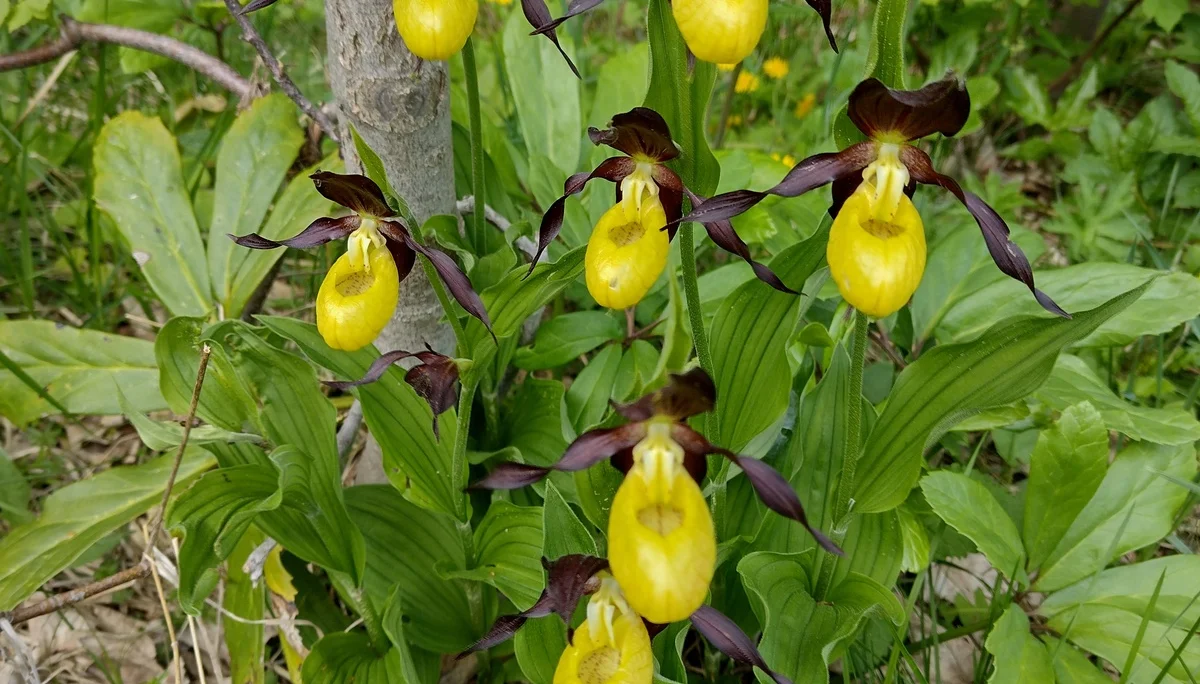 © DAV Sektion Rosenheim