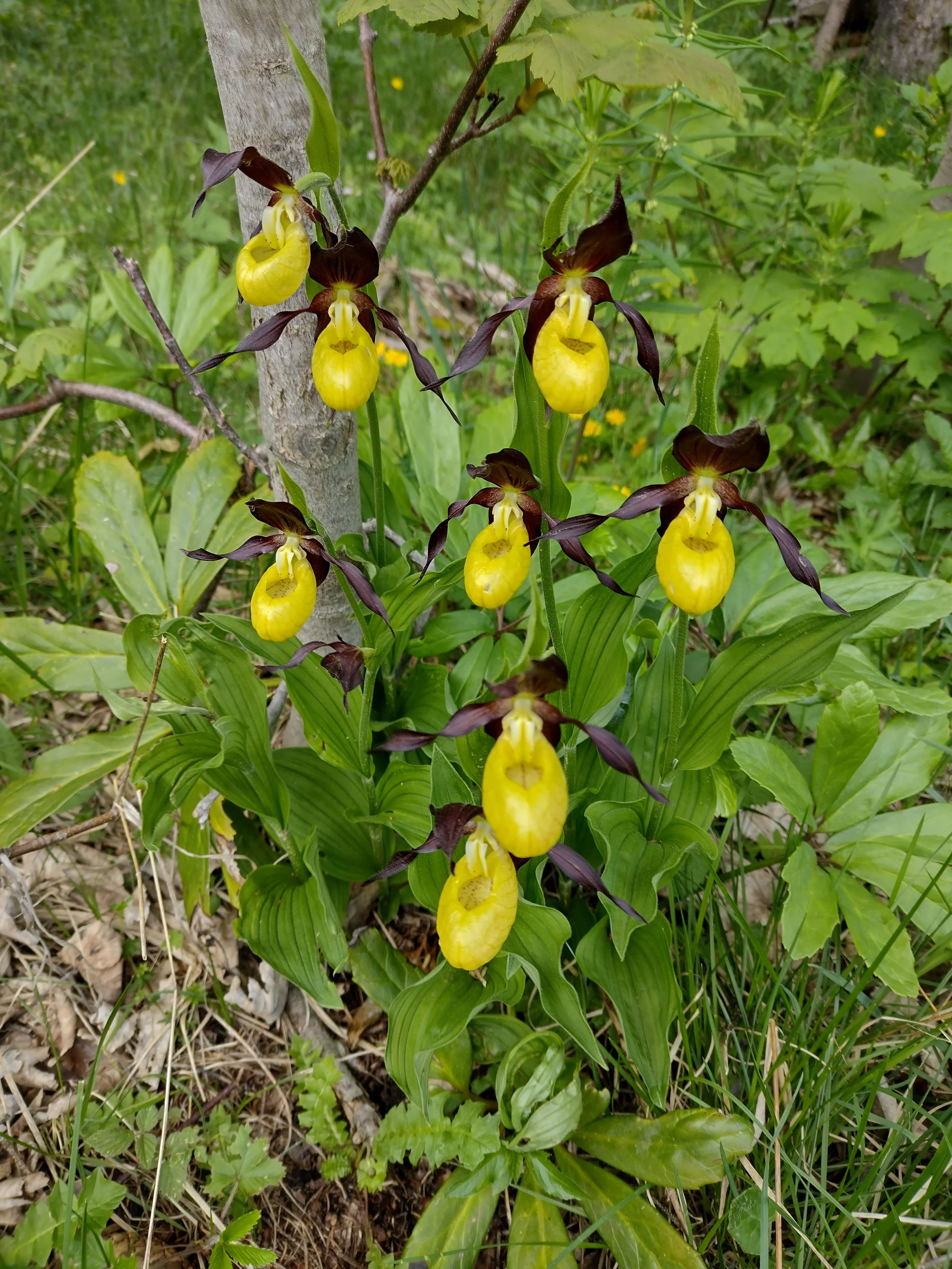 © DAV Sektion Rosenheim