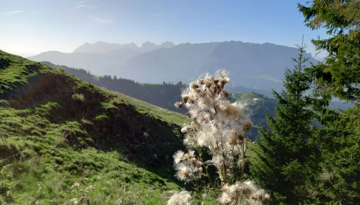 © Sektion Rosenheim DAV