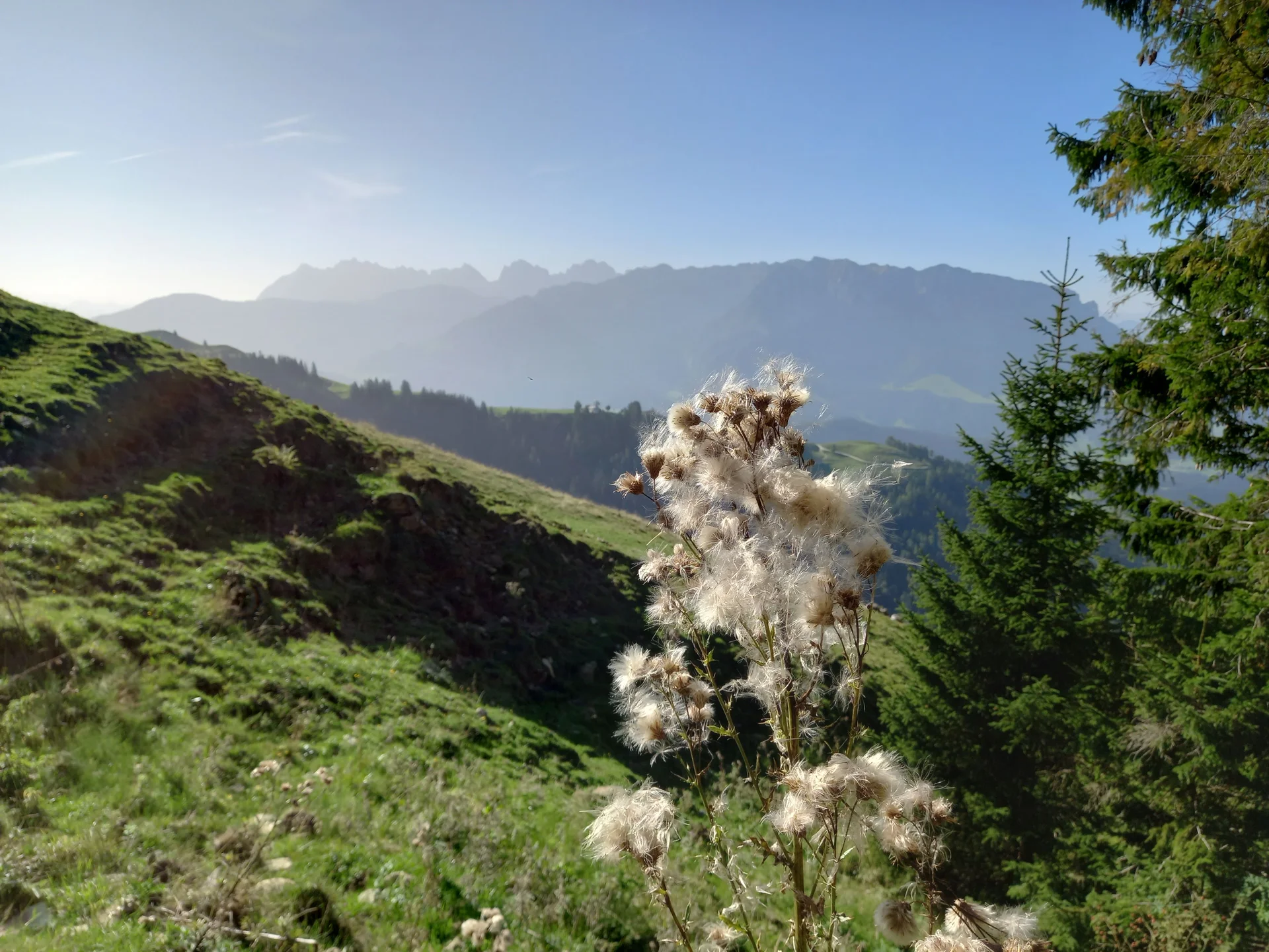 © Sektion Rosenheim DAV