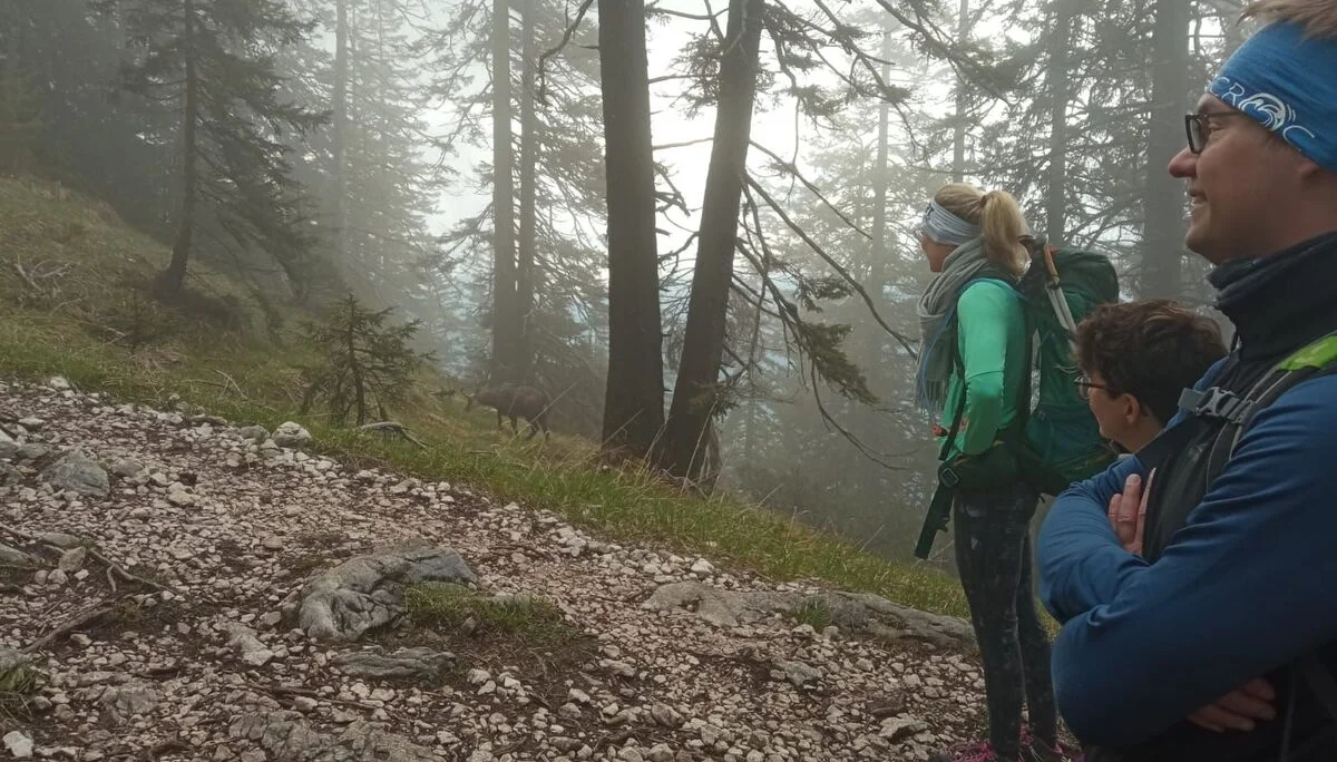 © Sektion Rosenheim DAV