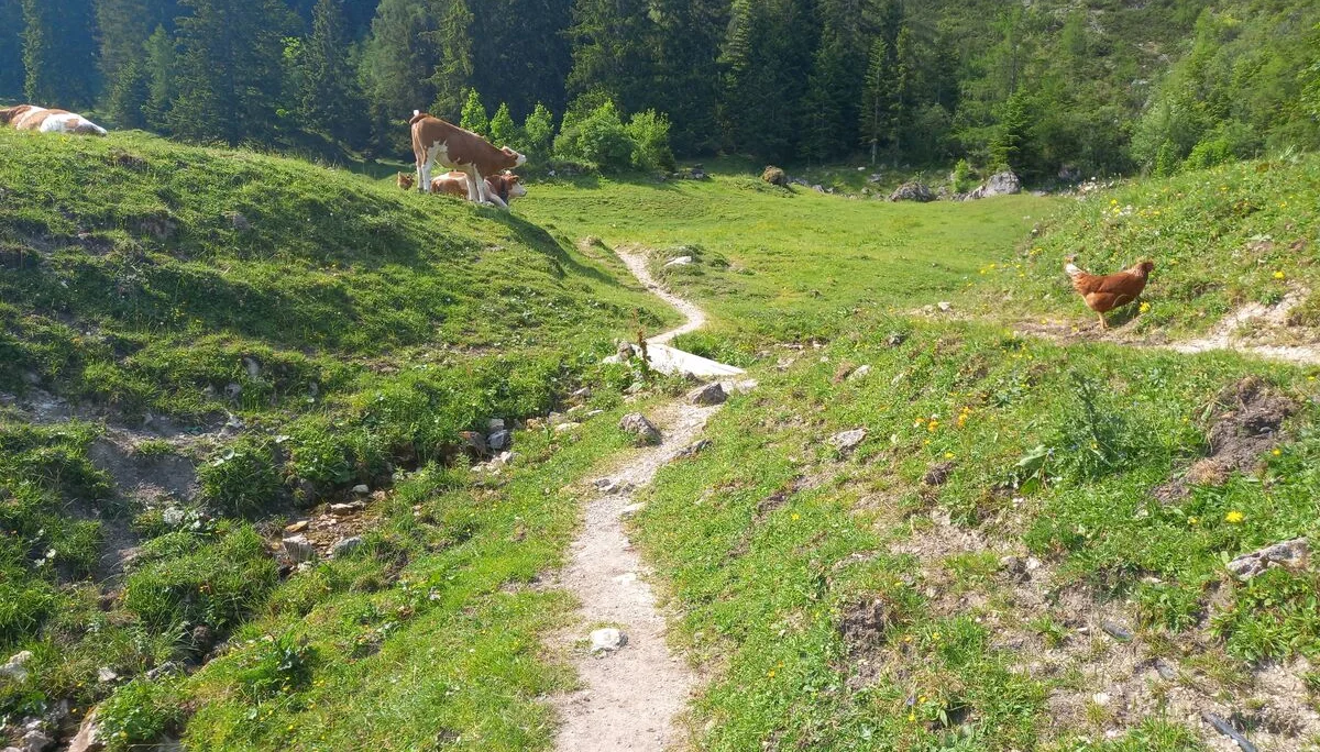 © Sektion Rosenheim DAV