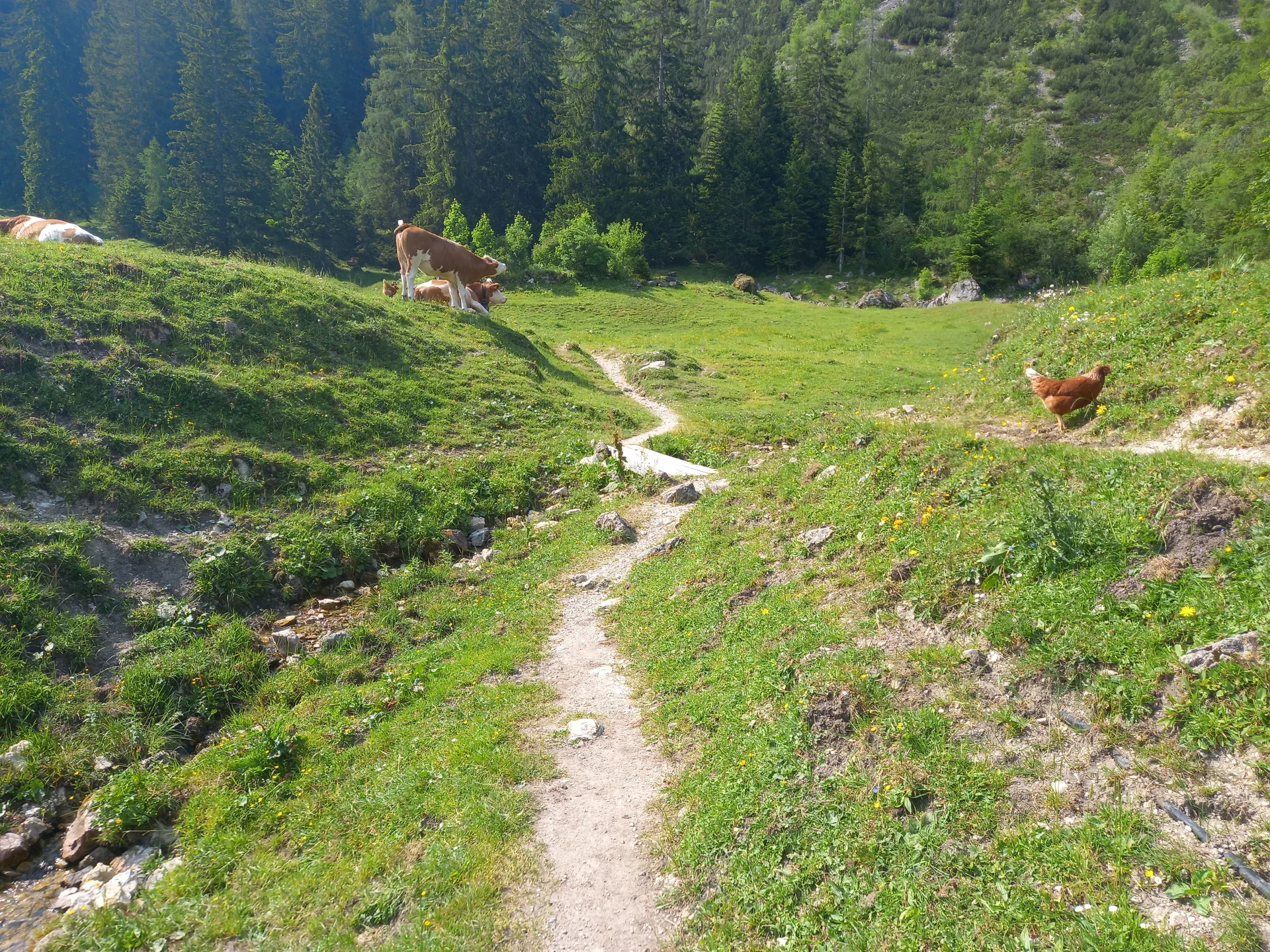 © Sektion Rosenheim DAV