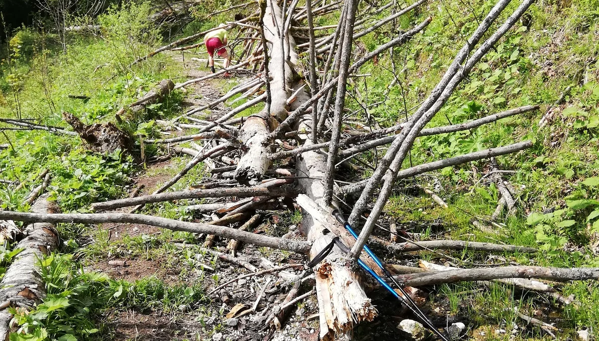 © Sektion Rosenheim DAV