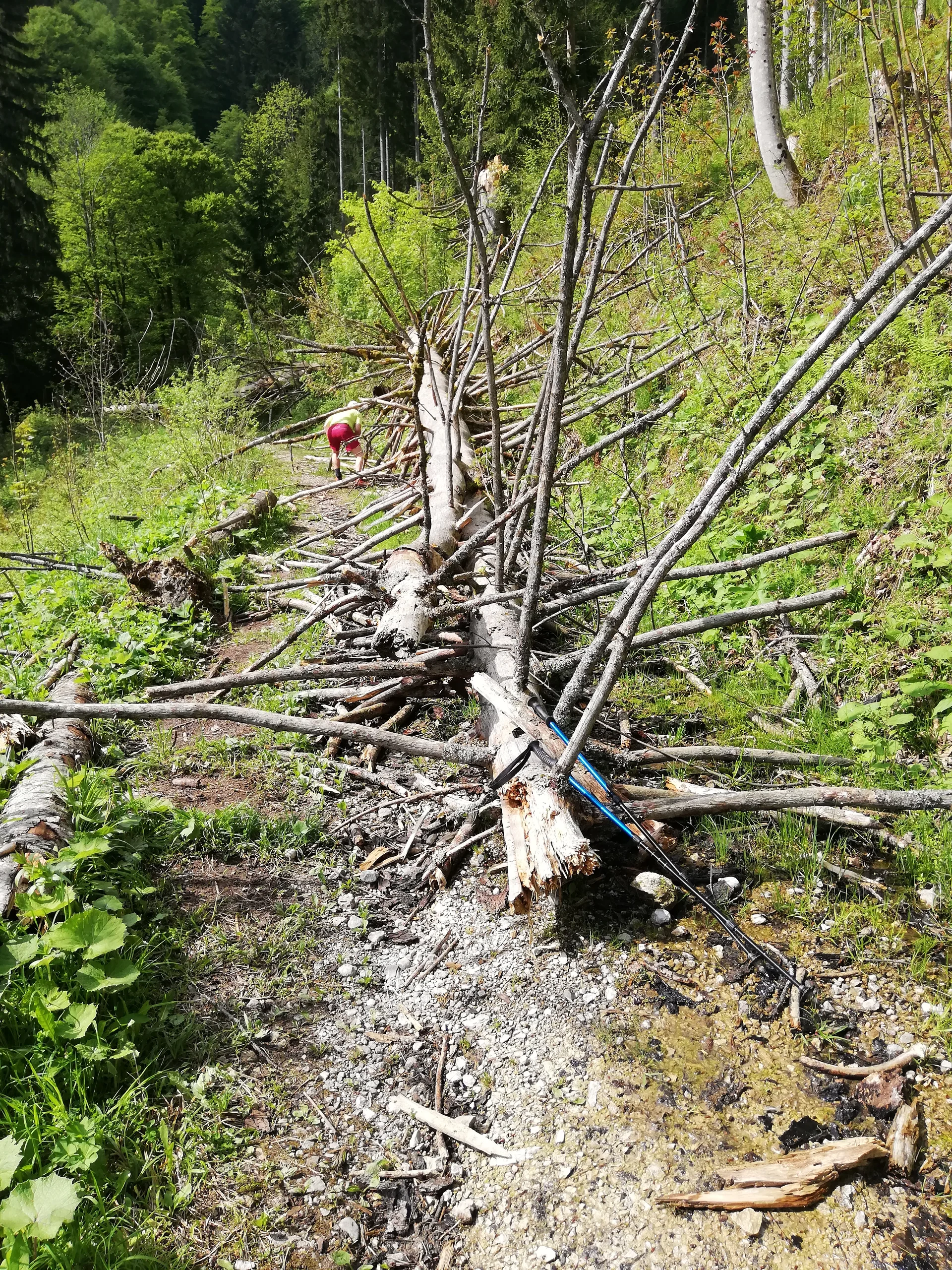 © Sektion Rosenheim DAV