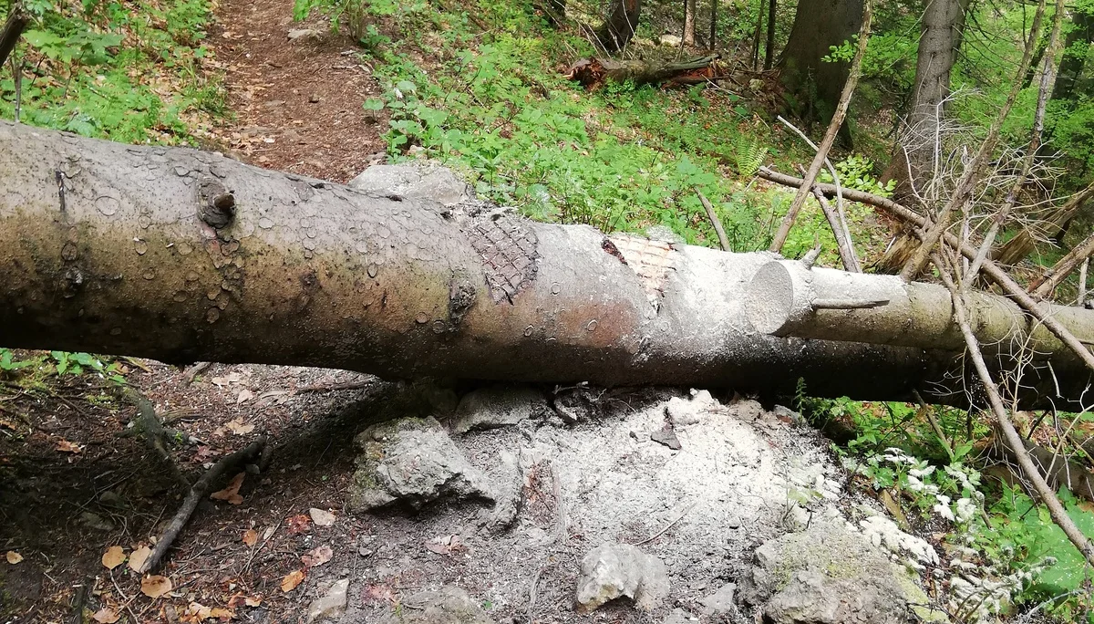 © Sektion Rosenheim DAV