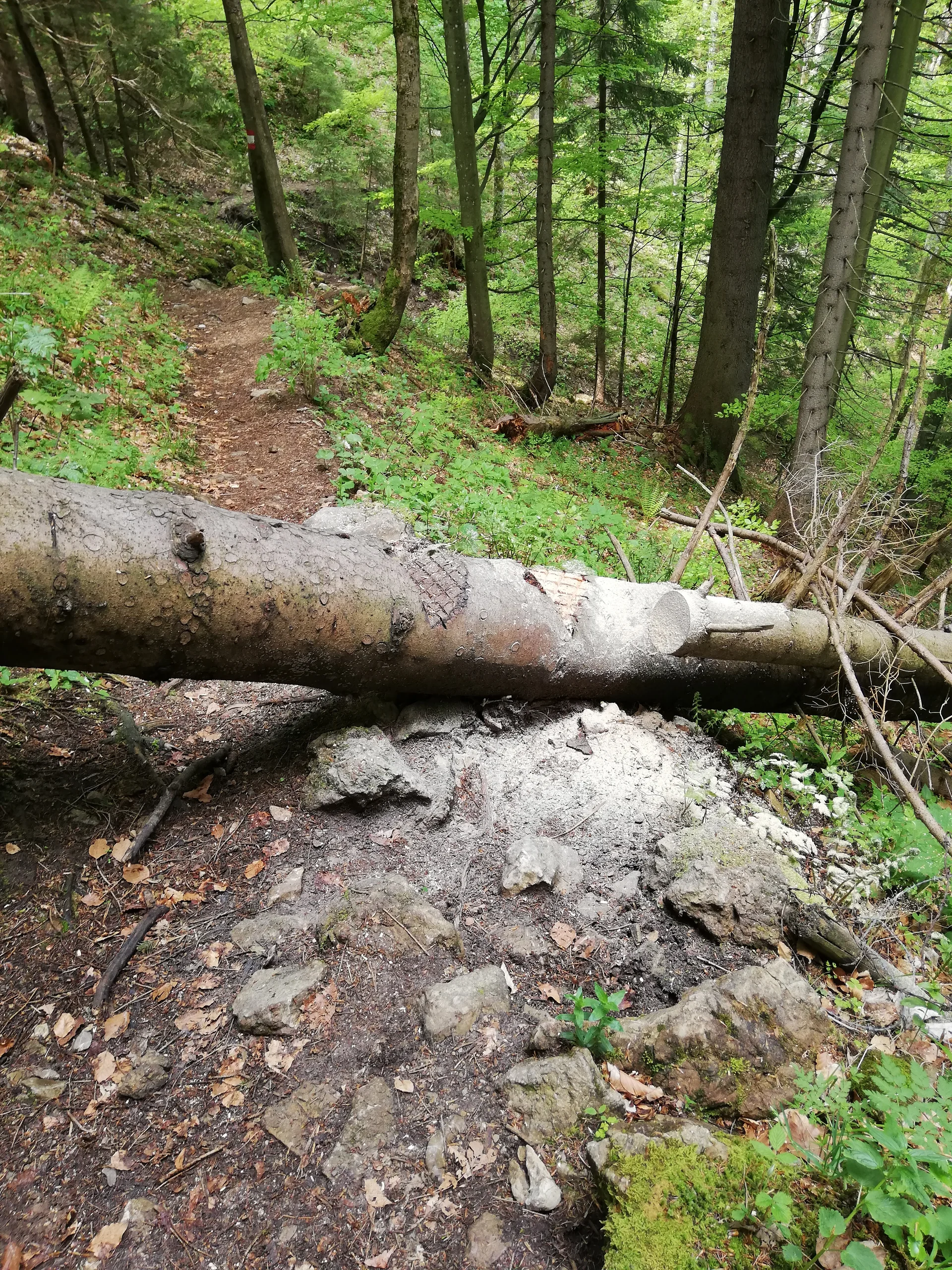 © Sektion Rosenheim DAV