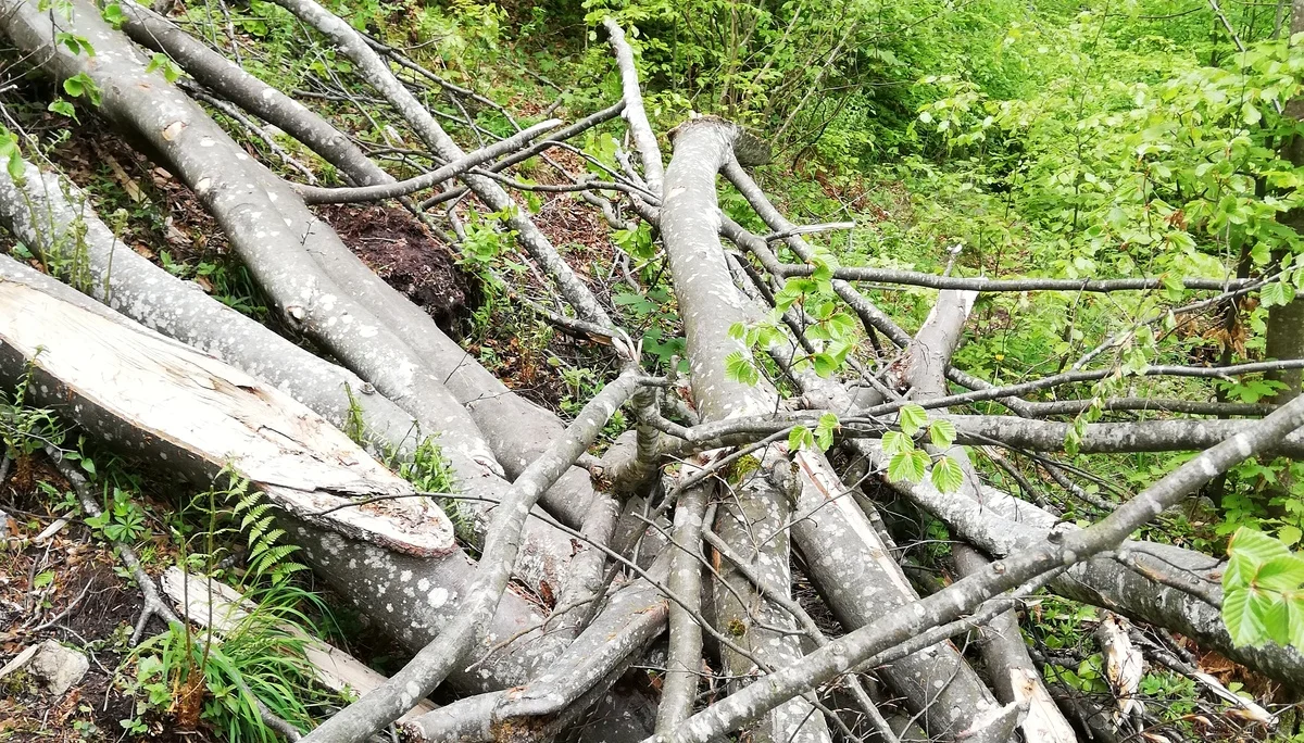 © Sektion Rosenheim DAV