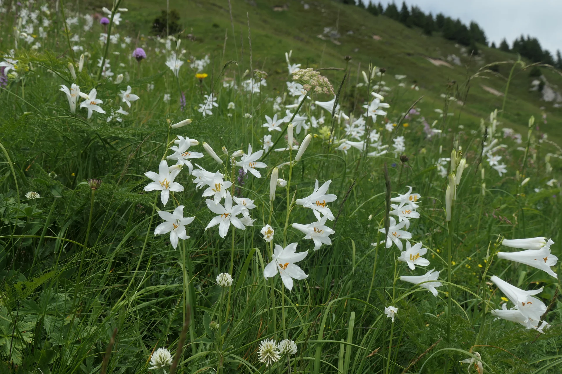 © Sektion Rosenheim DAV