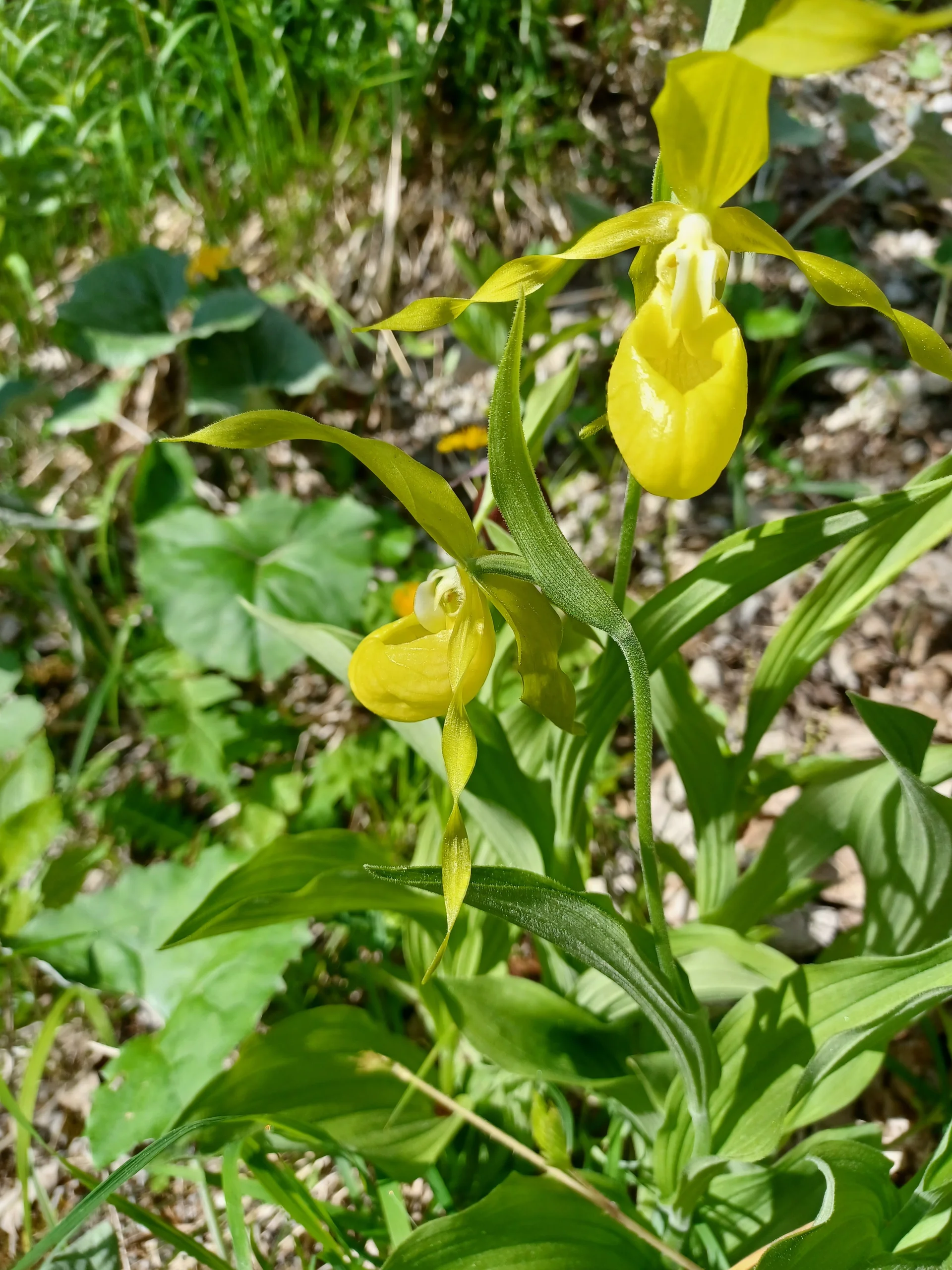 © Sektion Rosenheim DAV