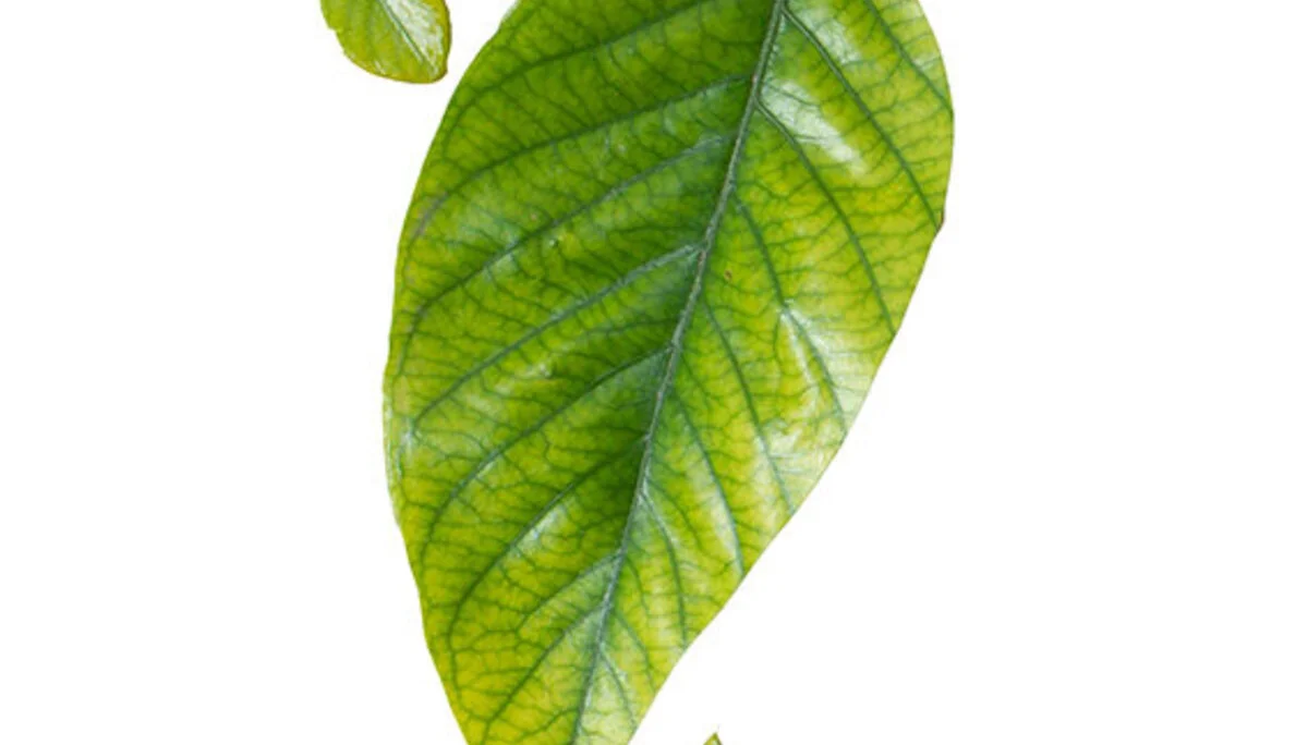 © Sektion Rosenheim DAV