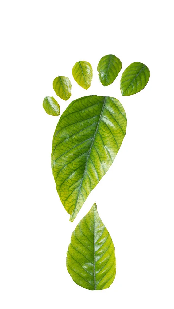 © Sektion Rosenheim DAV