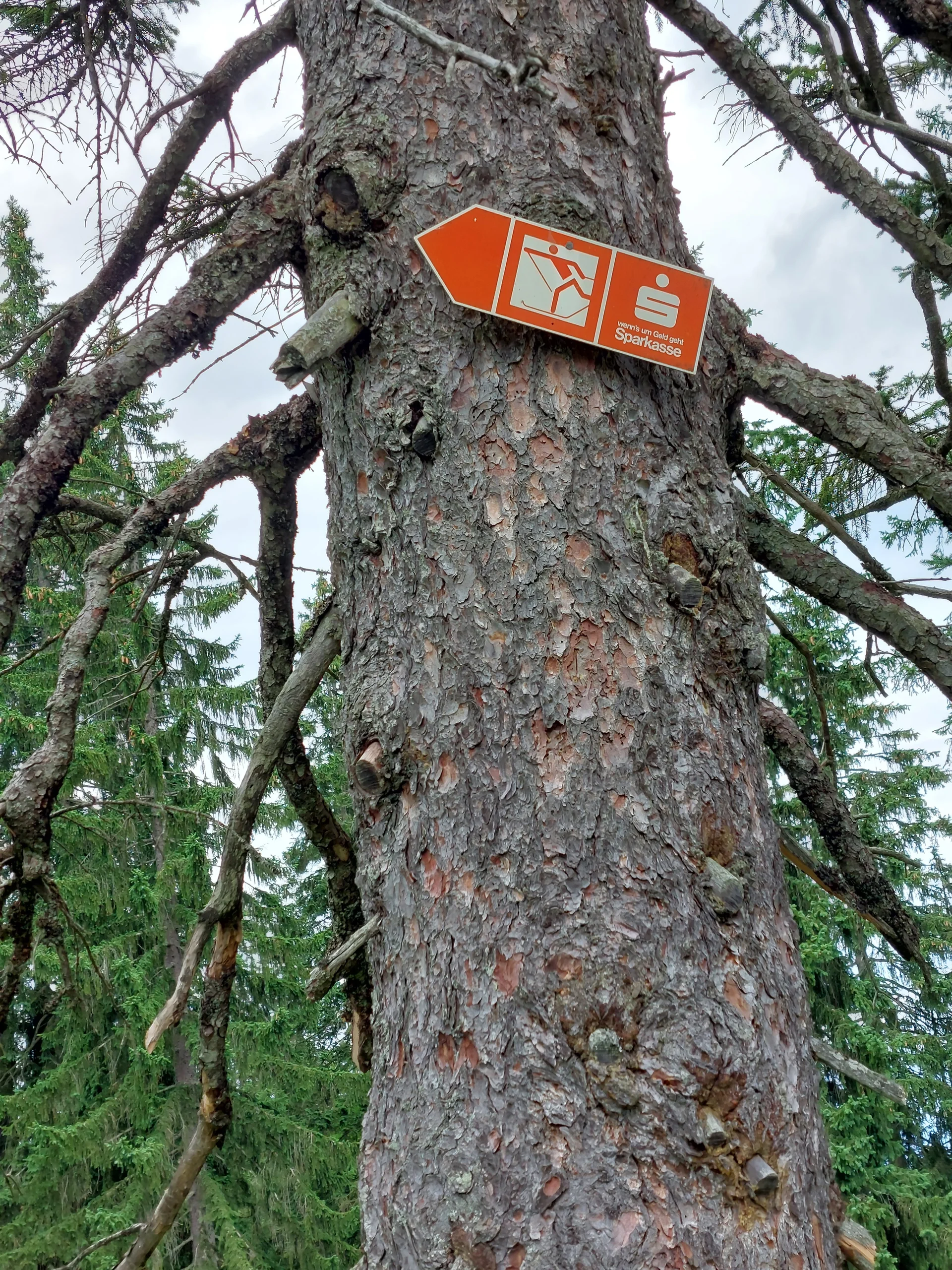 © Sektion Rosenheim DAV