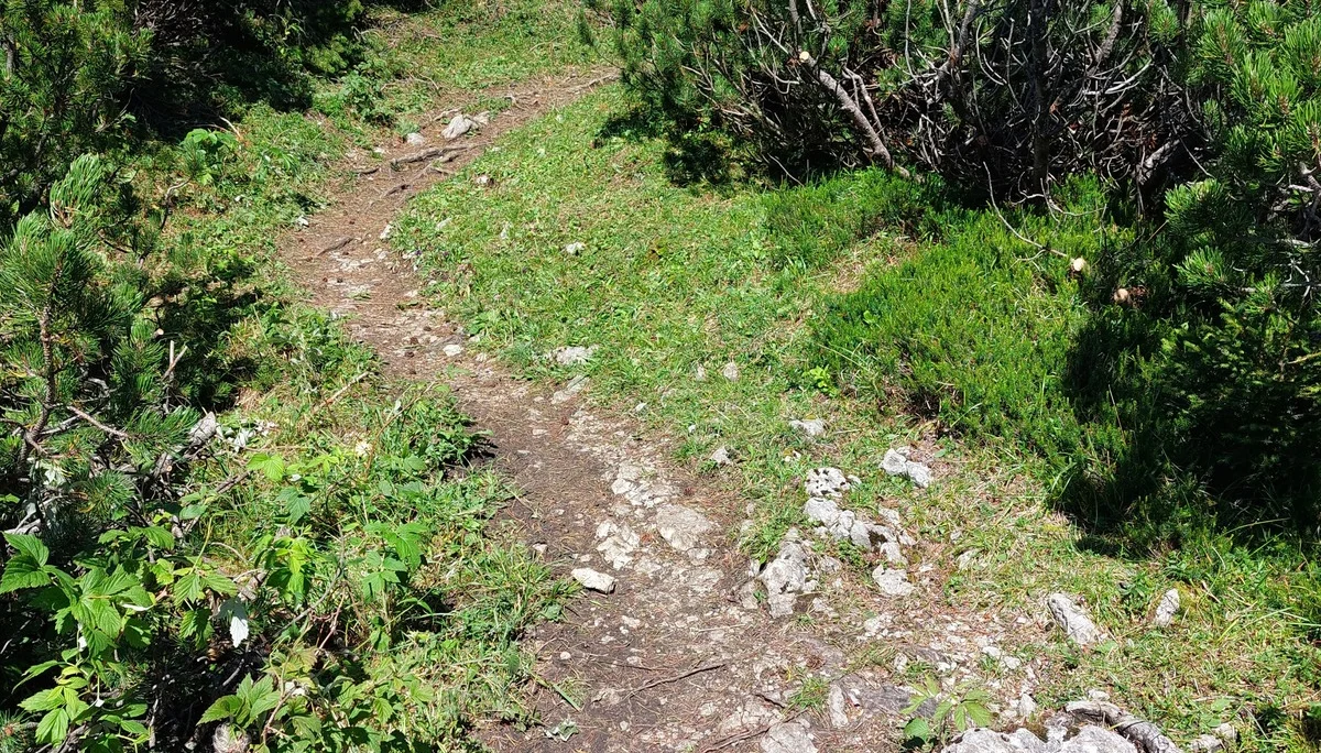 © Sektion Rosenheim DAV